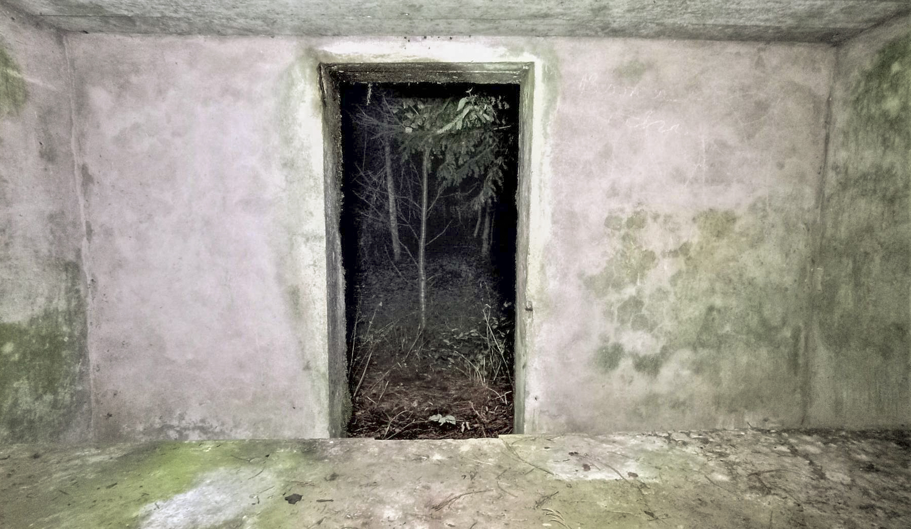 Ligne Maginot - M31 - ROUTE DE LA VERRERIE 1 - (Blockhaus pour arme infanterie) - L'entrée  - Baptiste Gaudin