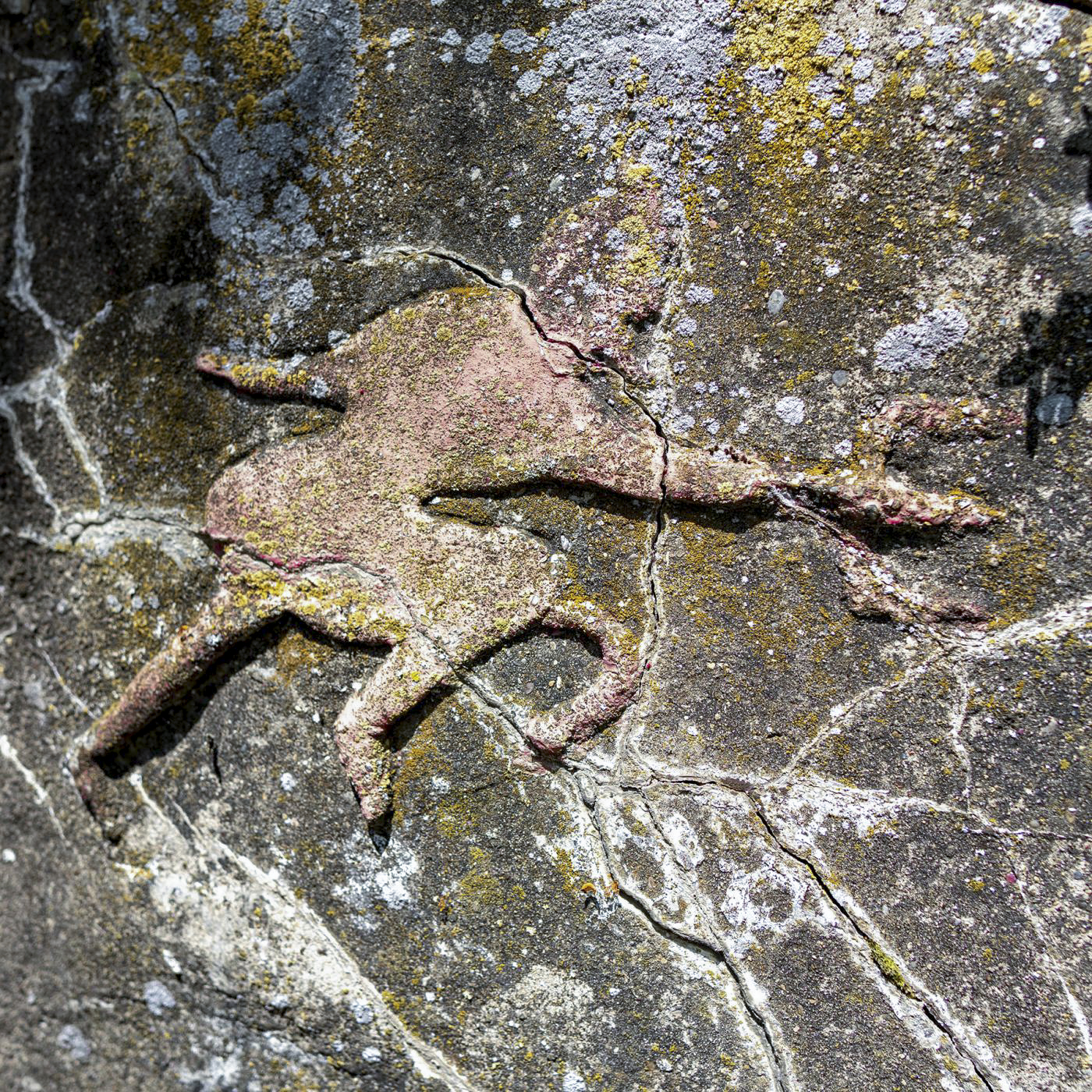 Ligne Maginot - RICHTOLSHEIM 1 - (Blockhaus pour arme infanterie) - Diable Rouge - Insigne du 152 régiment d'infanterie. - David Palmer