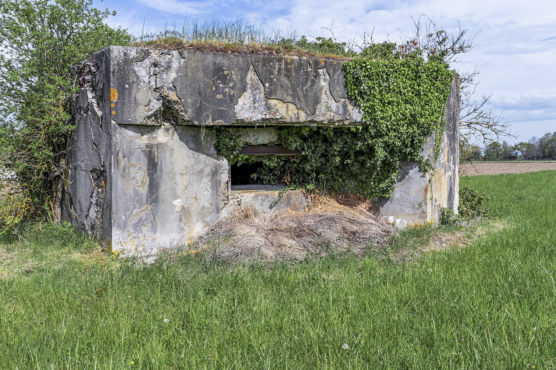 Ligne Maginot - RICHTOLSHEIM 2 - (Blockhaus pour canon) - Blockhaus pour canon - David Palmer