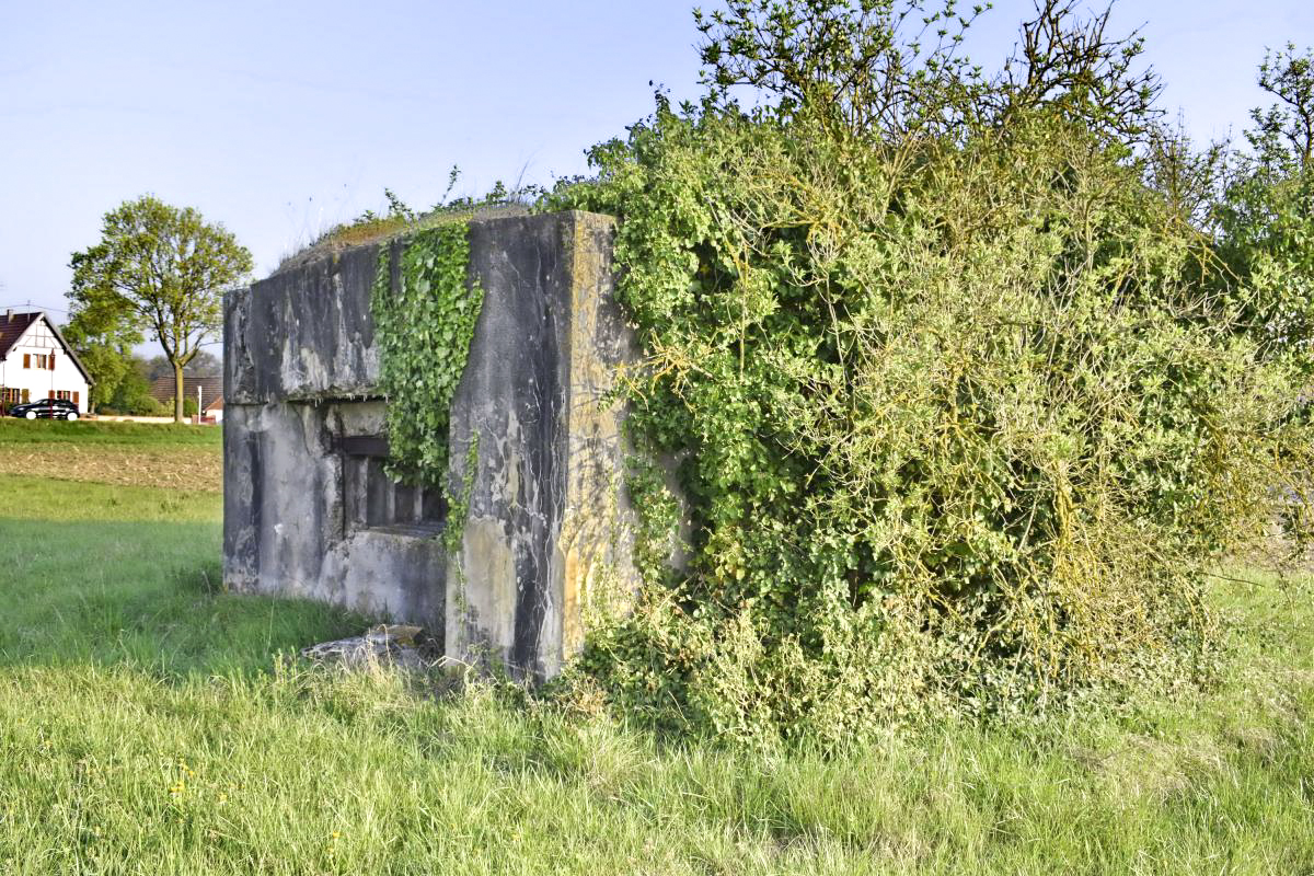 Ligne Maginot - RICHTOLSHEIM 2 - (Blockhaus pour canon) - Vue extérieure 