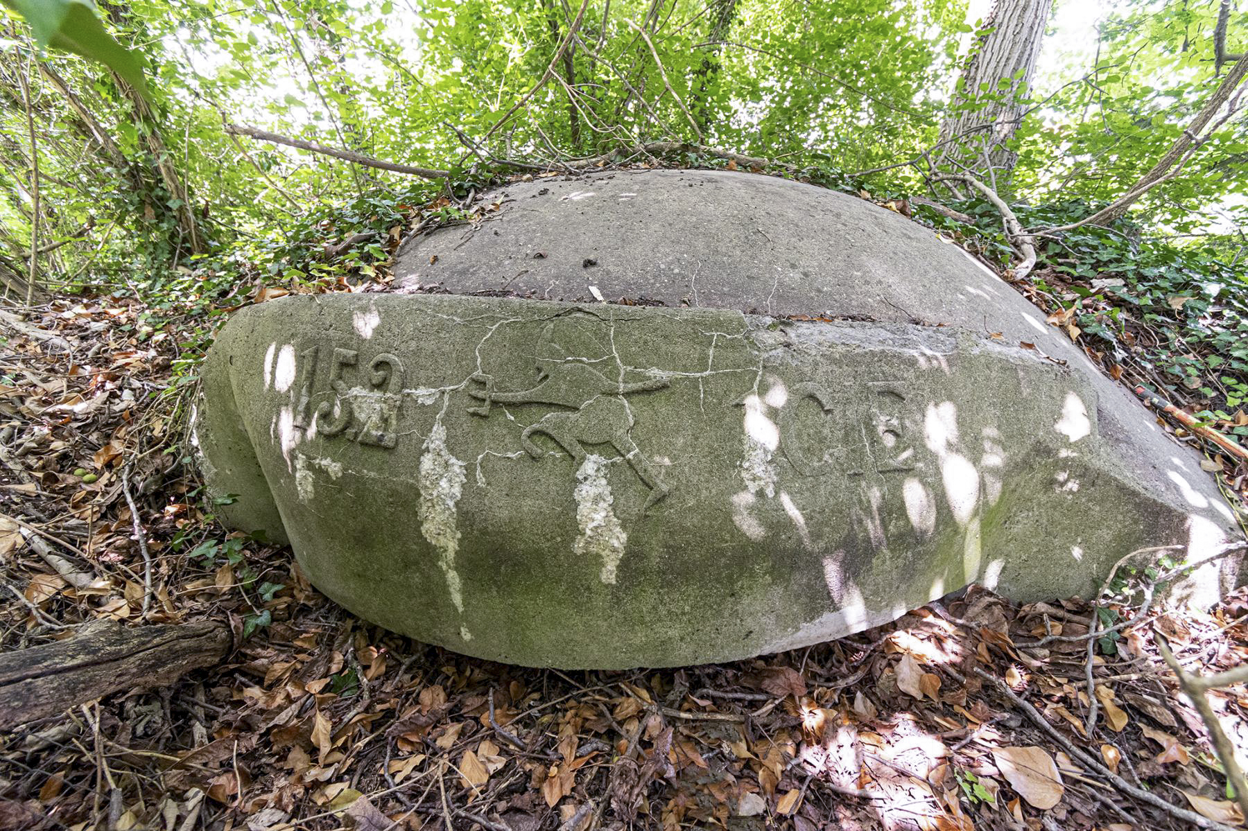 Ligne Maginot - B79 - RICHTOLSHEIM 5 - (Blockhaus pour arme infanterie) - Blockhaus pour arme infanterie - David Palmer