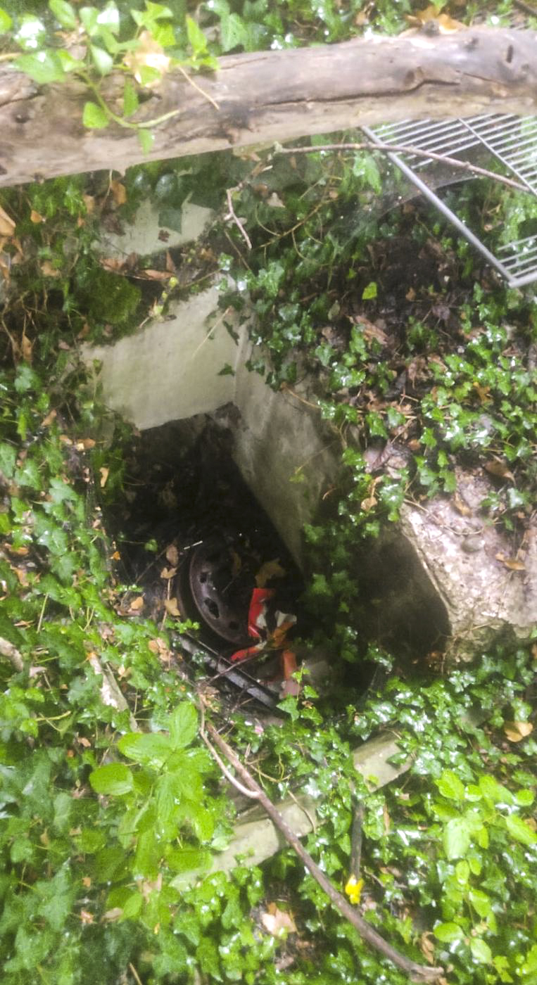 Ligne Maginot - B79 - RICHTOLSHEIM 5 - (Blockhaus pour arme infanterie) -  - Clarence Scheibling