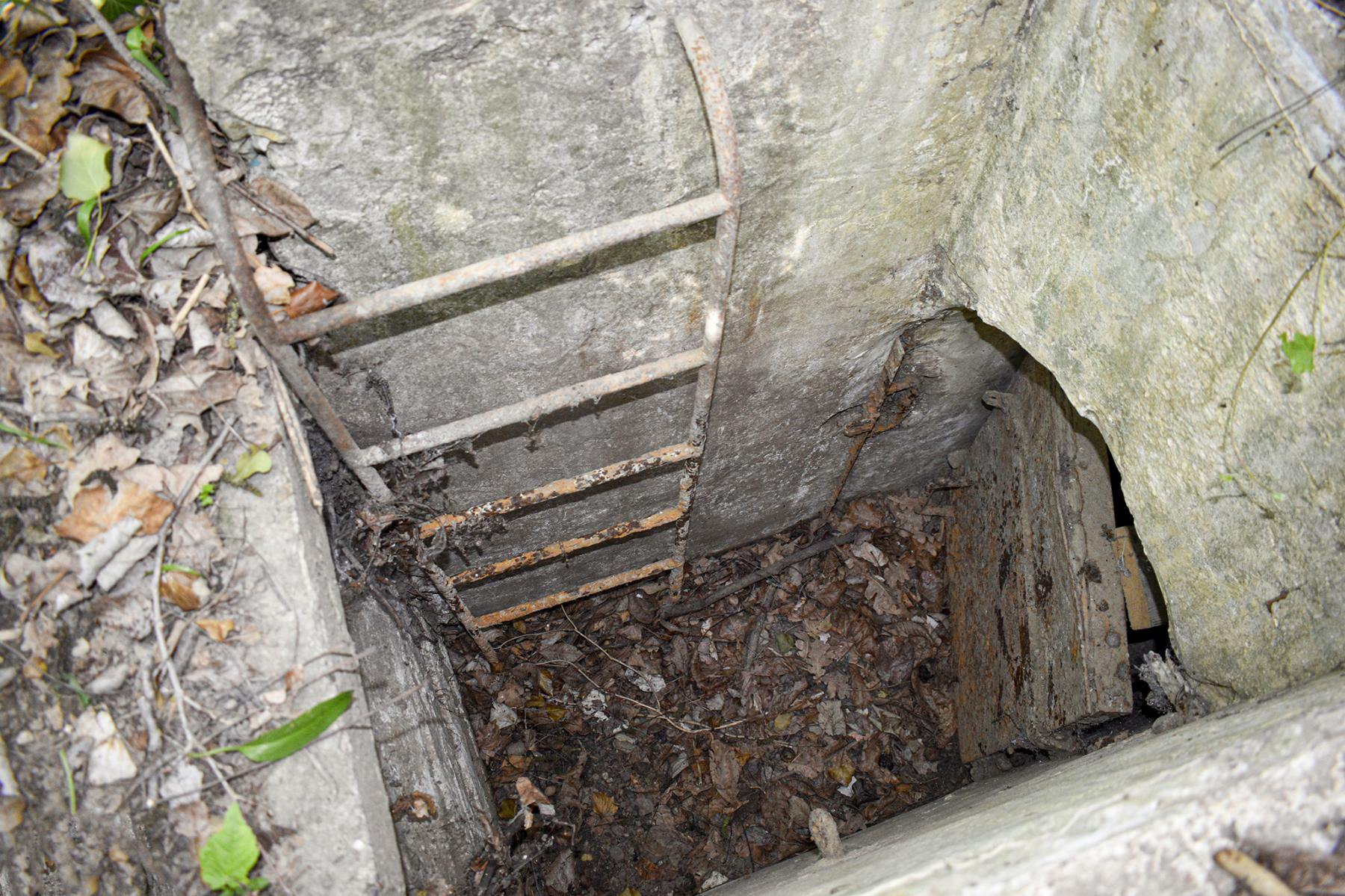 Ligne Maginot - B79 - RICHTOLSHEIM 5 - (Blockhaus pour arme infanterie) - Entrée du blockhaus - David Palmer