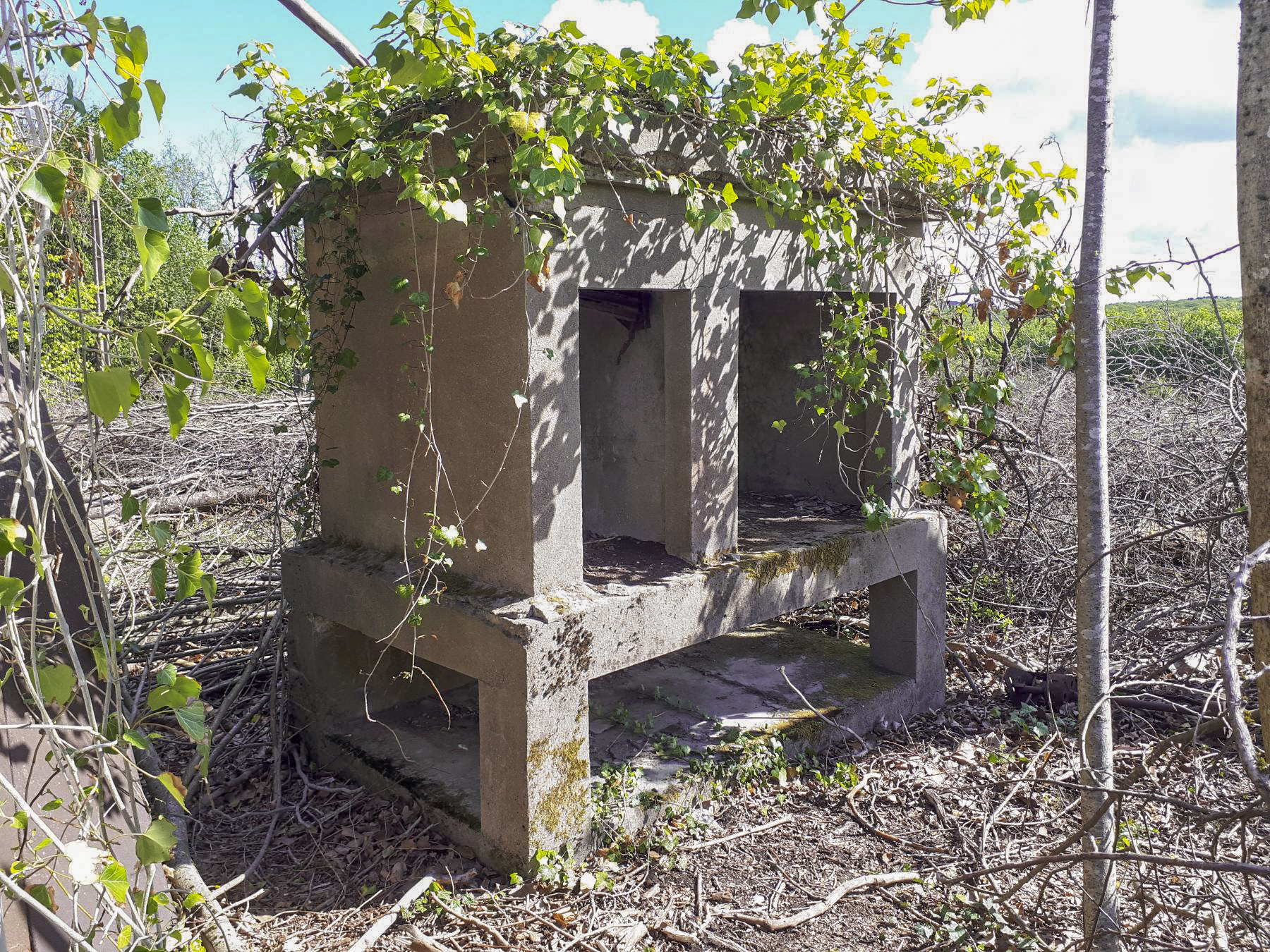 Ligne Maginot - BAN SAINT JEAN - (Camp de sureté) - Four à incinérer (Y3)
