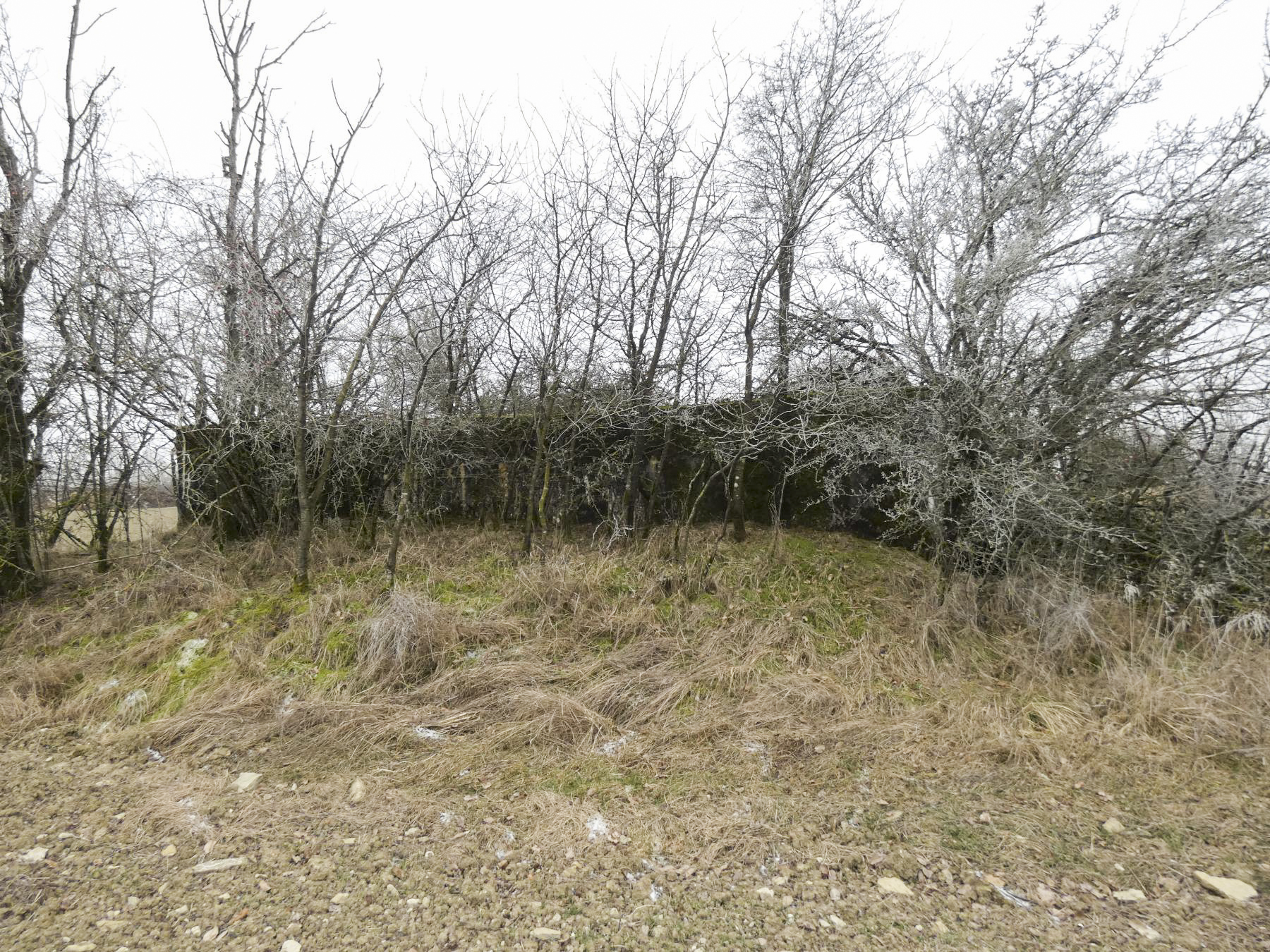 Ligne Maginot - ELSENBERG 1 - (Casemate d'infanterie - Simple) - La vue frontale. - STENGER Mathieu