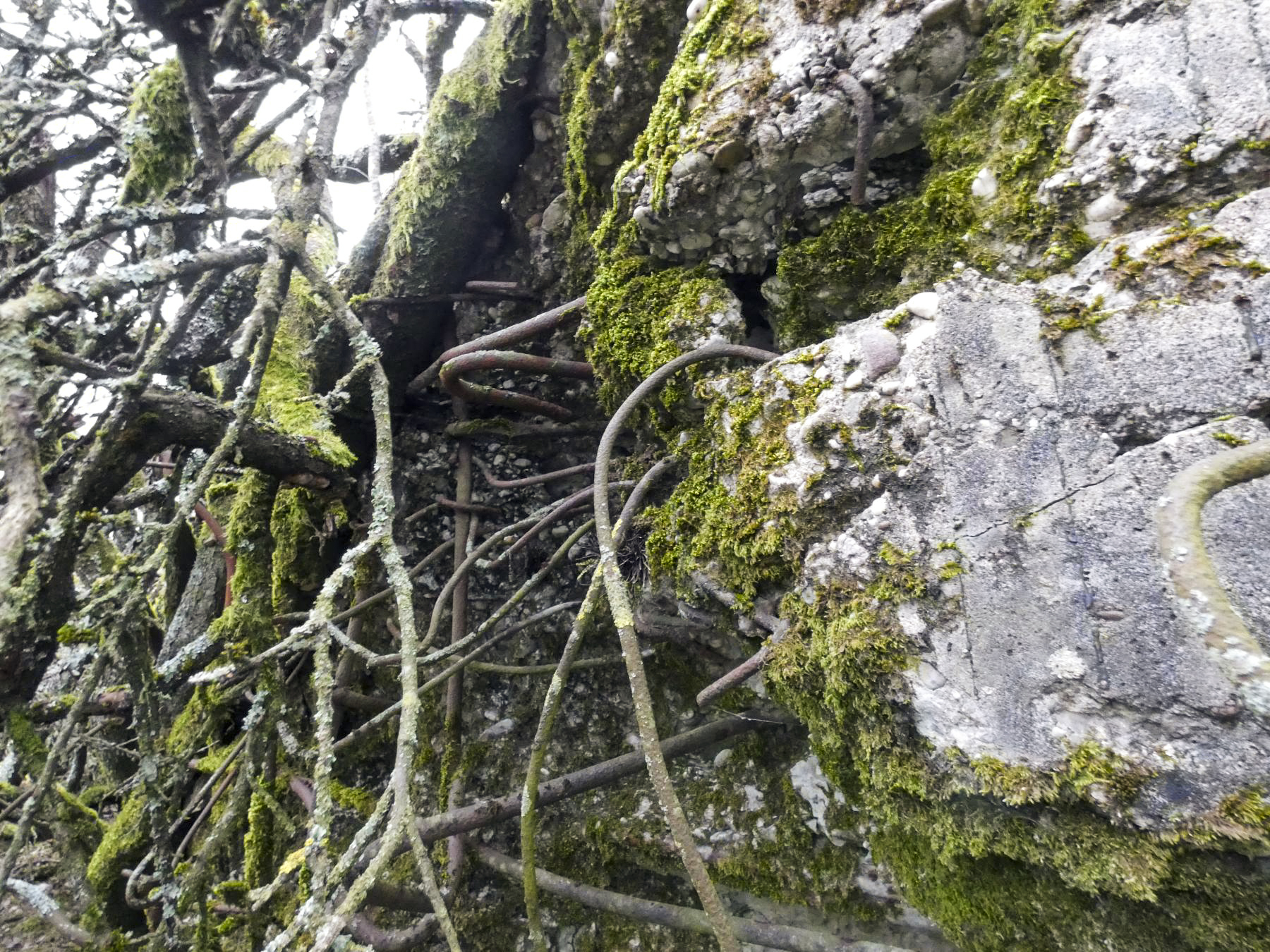 Ligne Maginot - ELSENBERG 1 - (Casemate d'infanterie - Simple) - Des impacts de tir près de l'entrée. - STENGER Mathieu