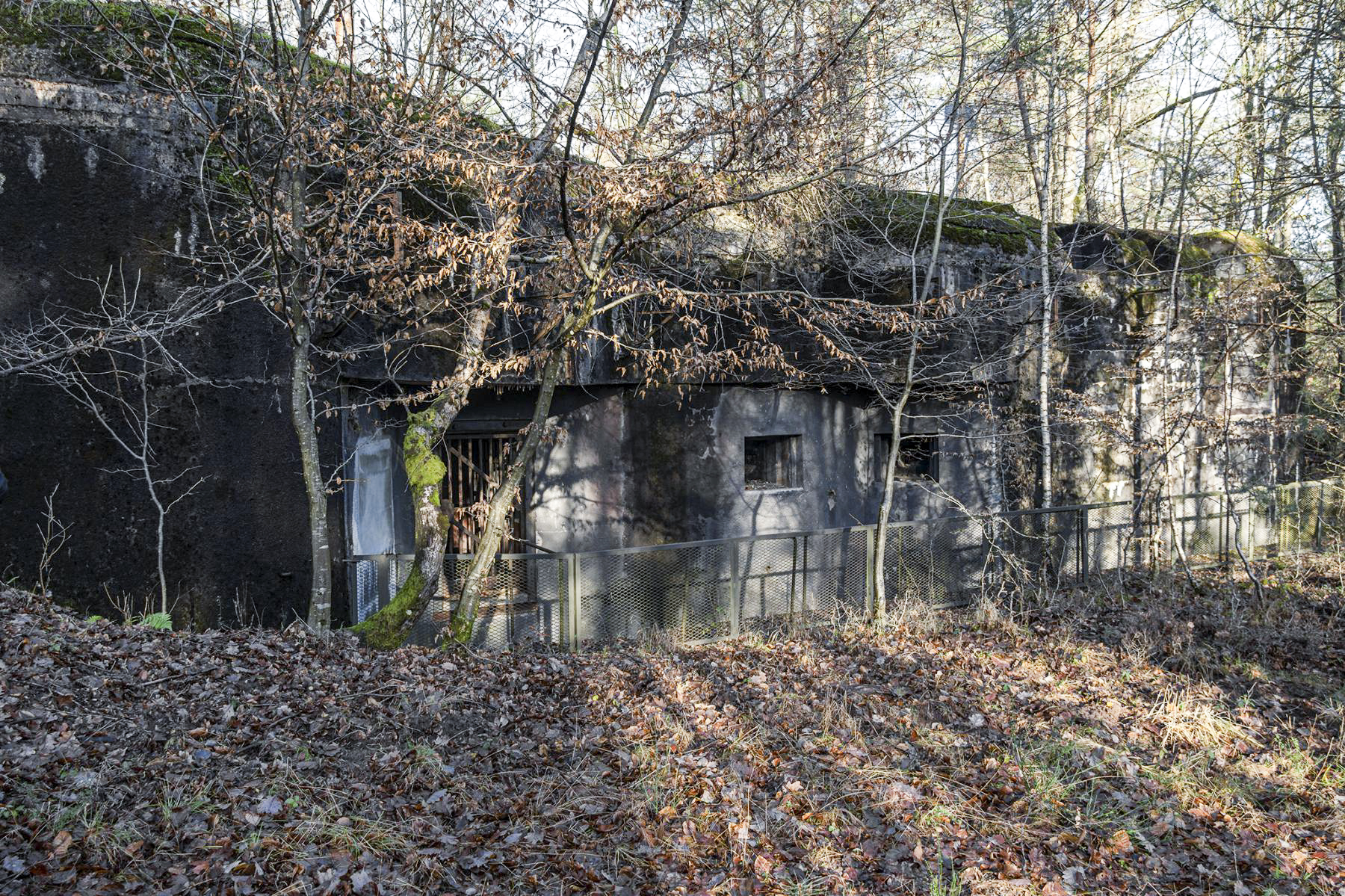 Ligne Maginot - GRAND HOHEKIRKEL - (Ouvrage d'artillerie) - Entrée des hommes - David Palmer