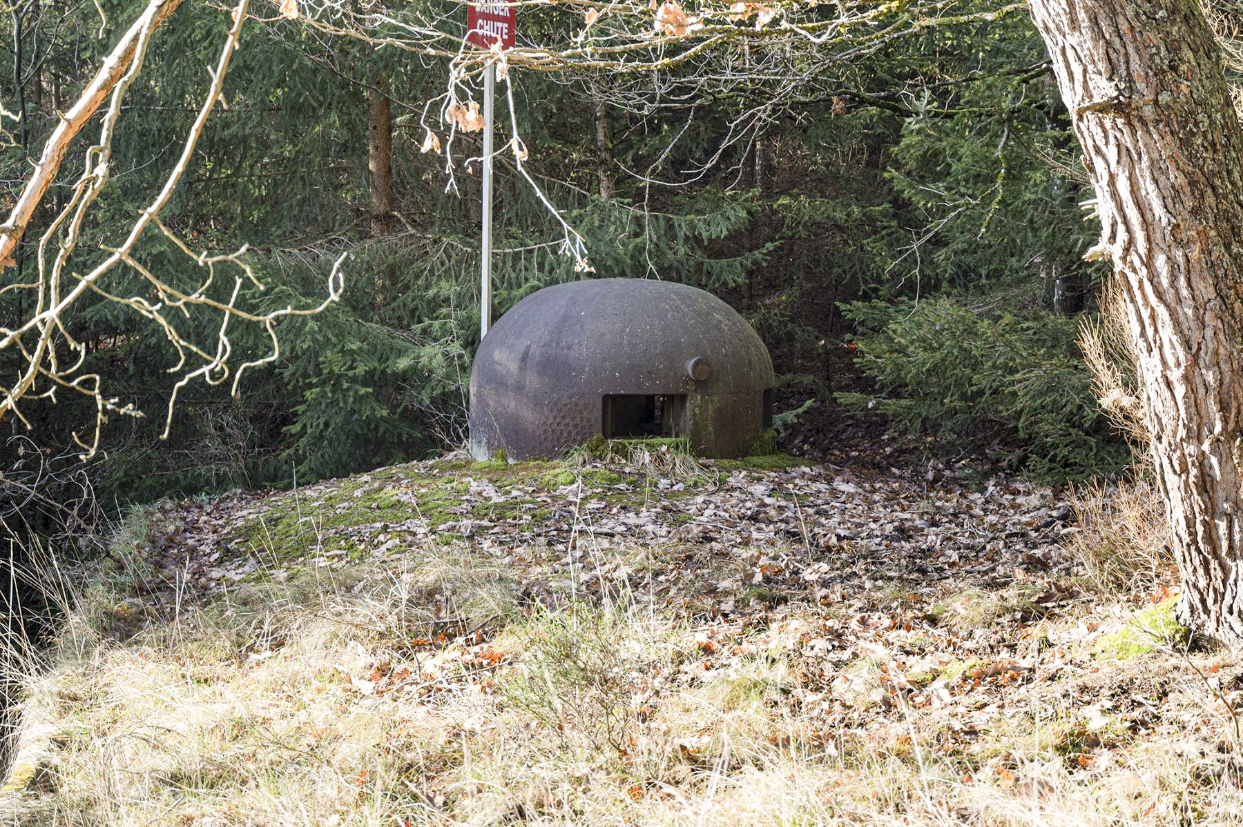 Ligne Maginot - GRAND HOHEKIRKEL - (Ouvrage d'artillerie) - L'entrée munitions
Cloche GFM Ouest - David Palmer