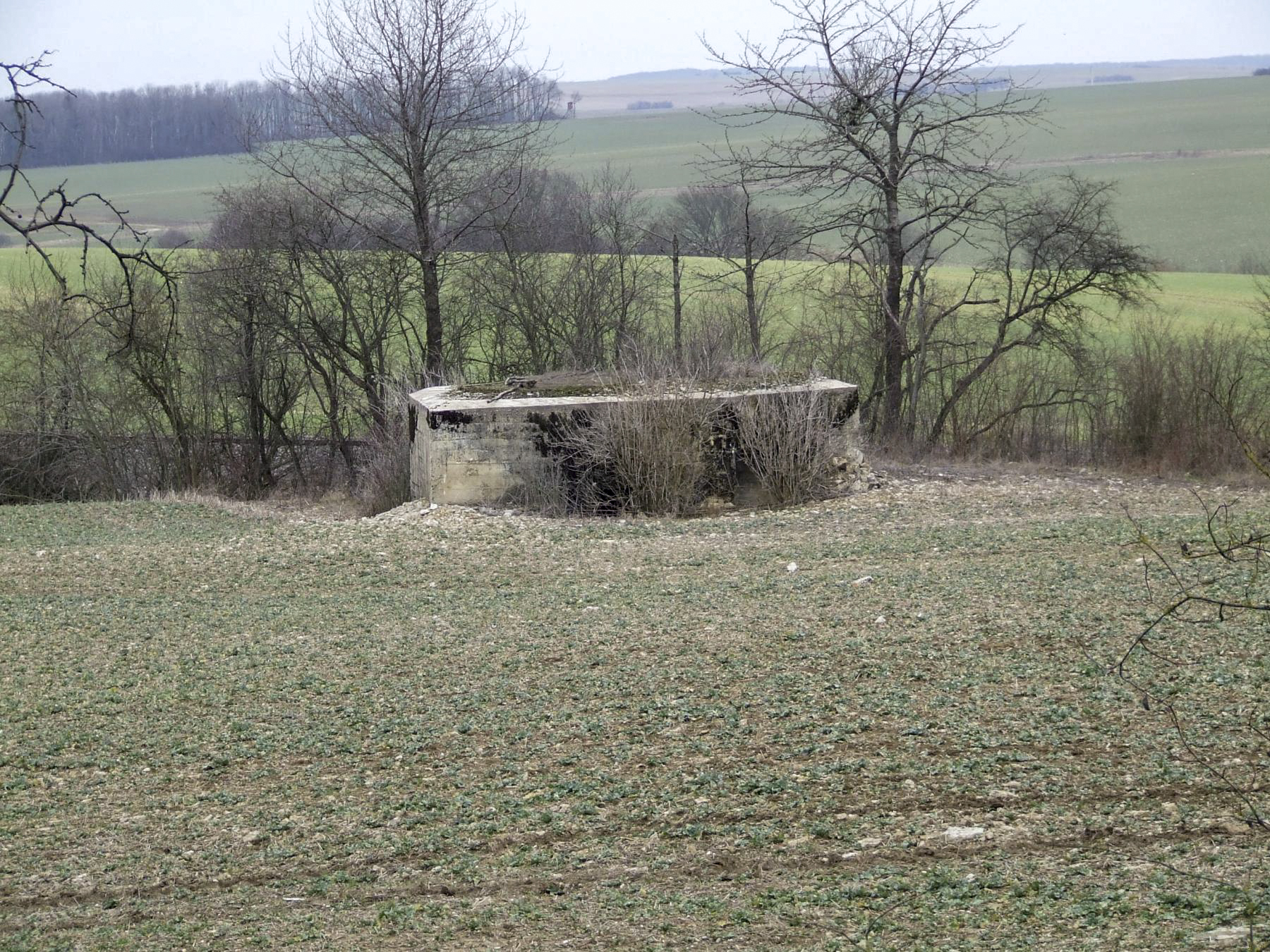 Ligne Maginot - OLFERDINGER 1 - (Blockhaus pour canon) - Une vue générale du blockhaus. - STENGER Mathieu
