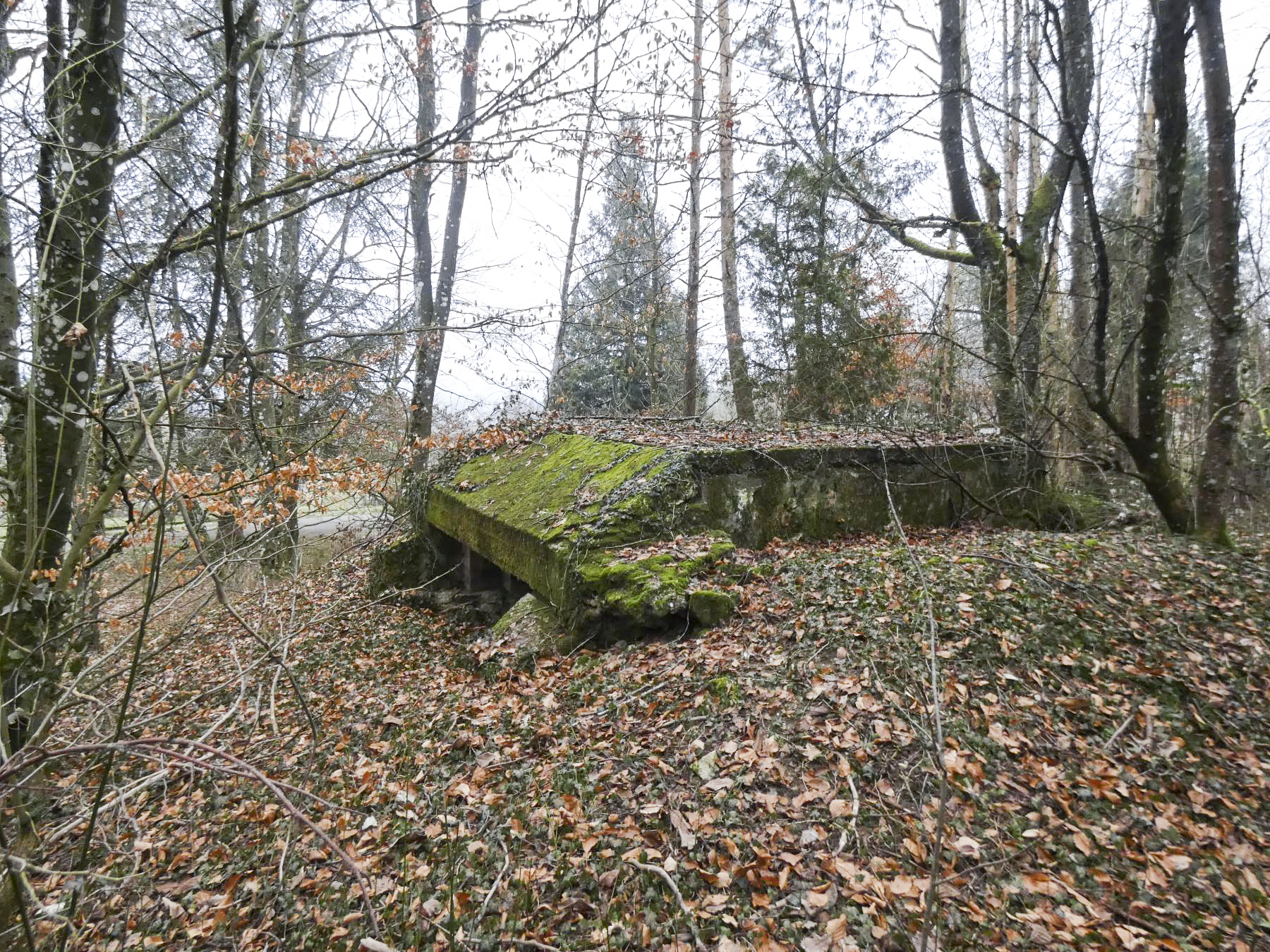 Ligne Maginot - ELSENBERG 8 - (Blockhaus pour canon) - La vue frontale du blockhaus. - STENGER Mathieu