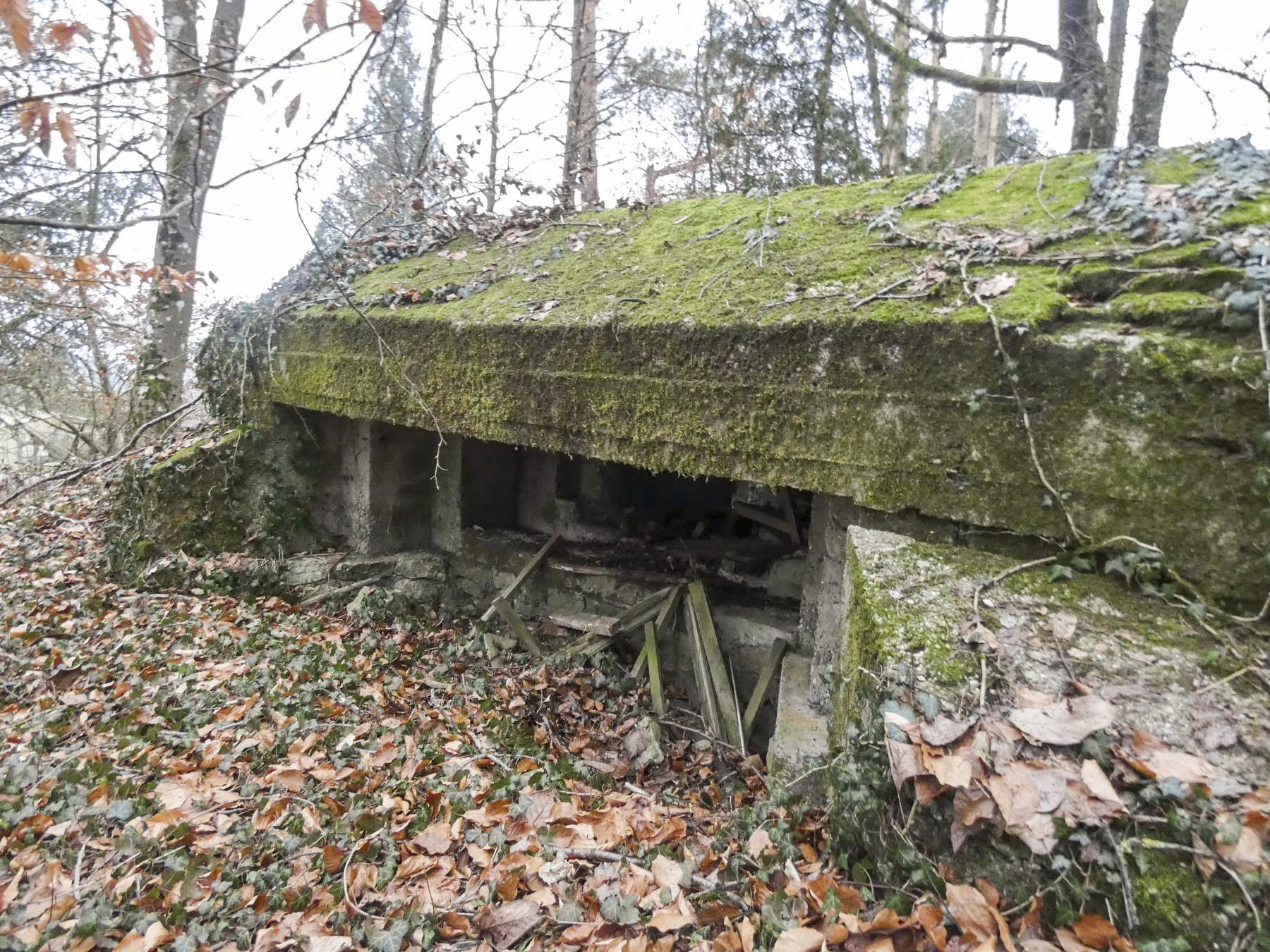 Ligne Maginot - ELSENBERG 8 - (Blockhaus pour canon) - La façade de tir. - STENGER Mathieu