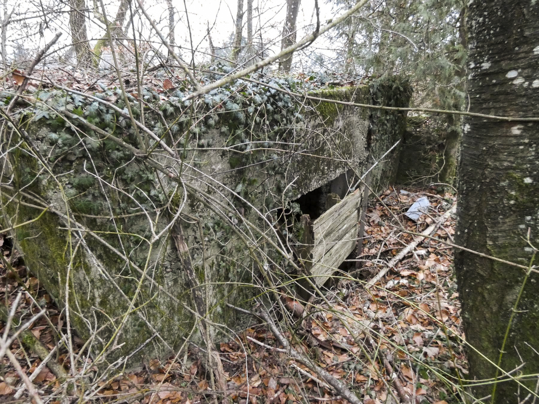 Ligne Maginot - ELSENBERG 8 - (Blockhaus pour canon) - L'entrée arrière pour le canon. - STENGER Mathieu