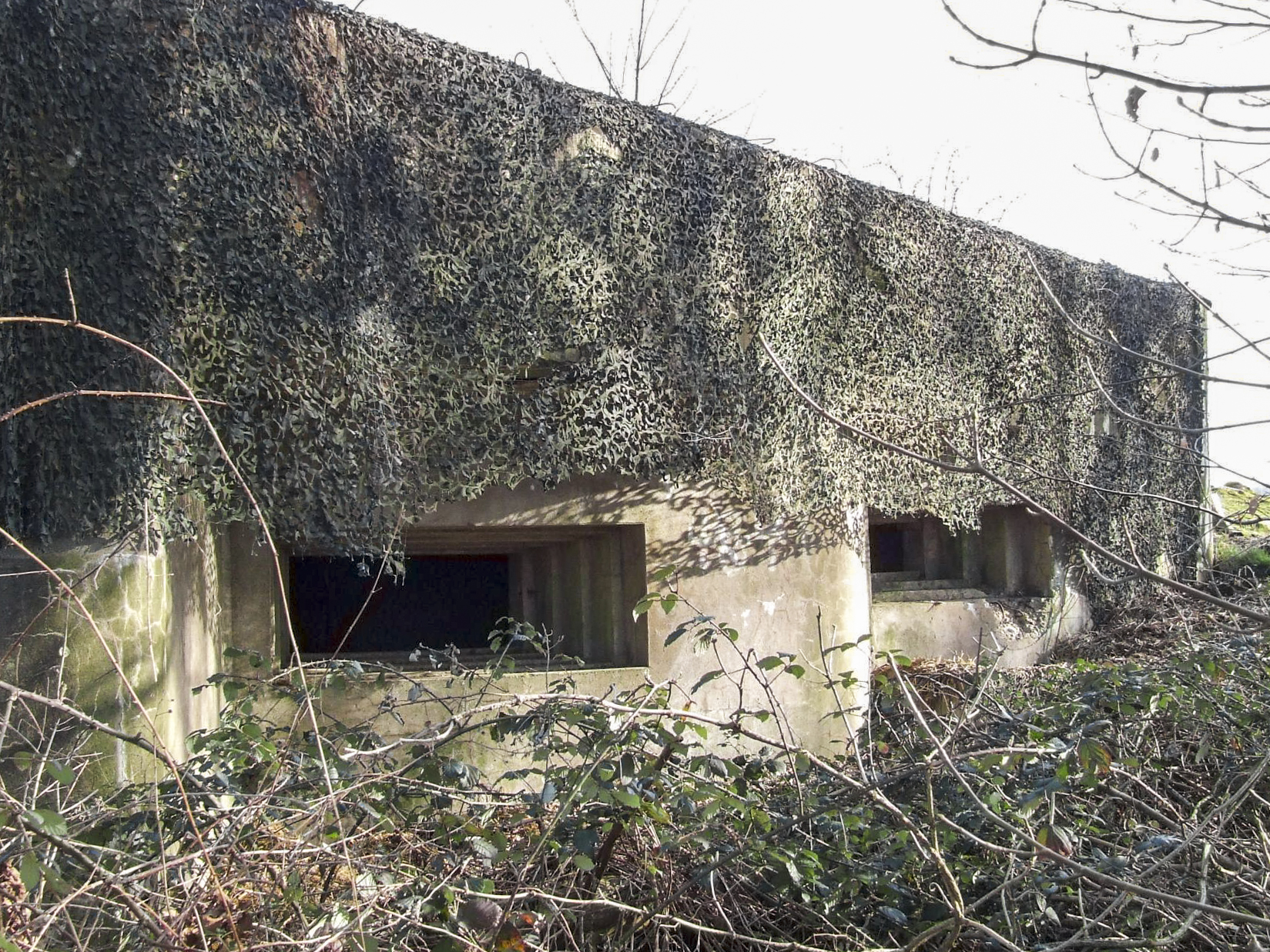 Ligne Maginot - WASENBERG 1 - (Blockhaus pour canon) - La façade de tir du blockhaus. - STENGER Mathieu