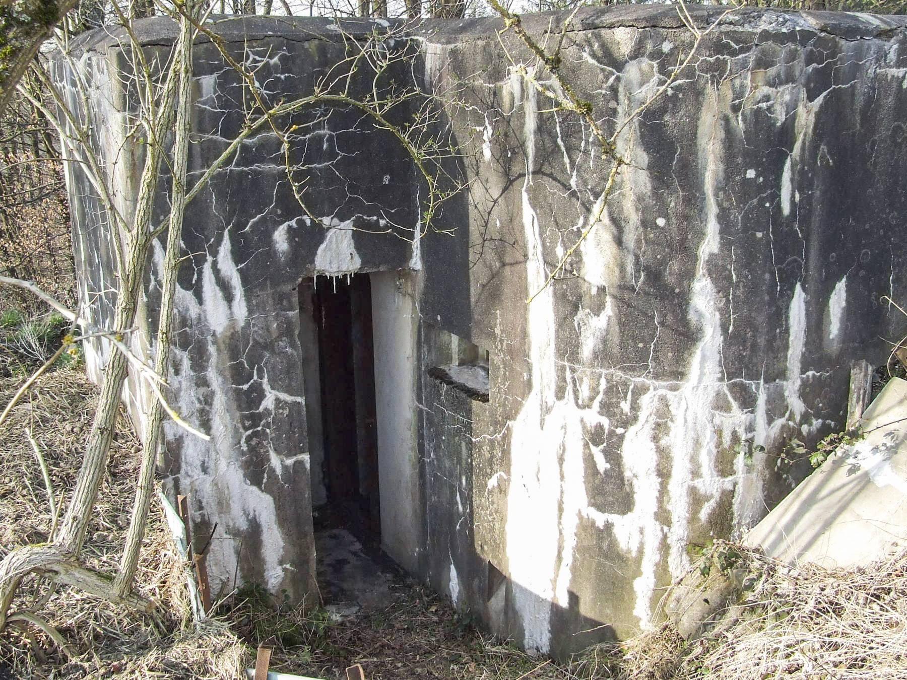 Ligne Maginot - WASENBERG 1 - (Blockhaus pour canon) - L'entrée avec son créneau de défense. - STENGER Mathieu