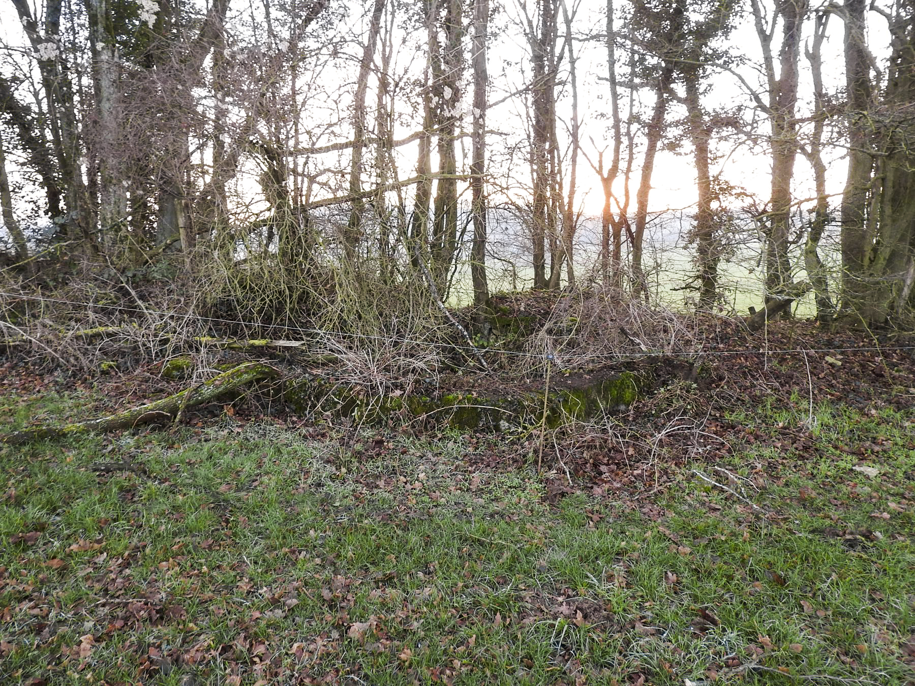 Ligne Maginot - BOIS DU CASTEL 2 - (Cuve pour arme d'infanterie) - Une vue d'ensemble.
