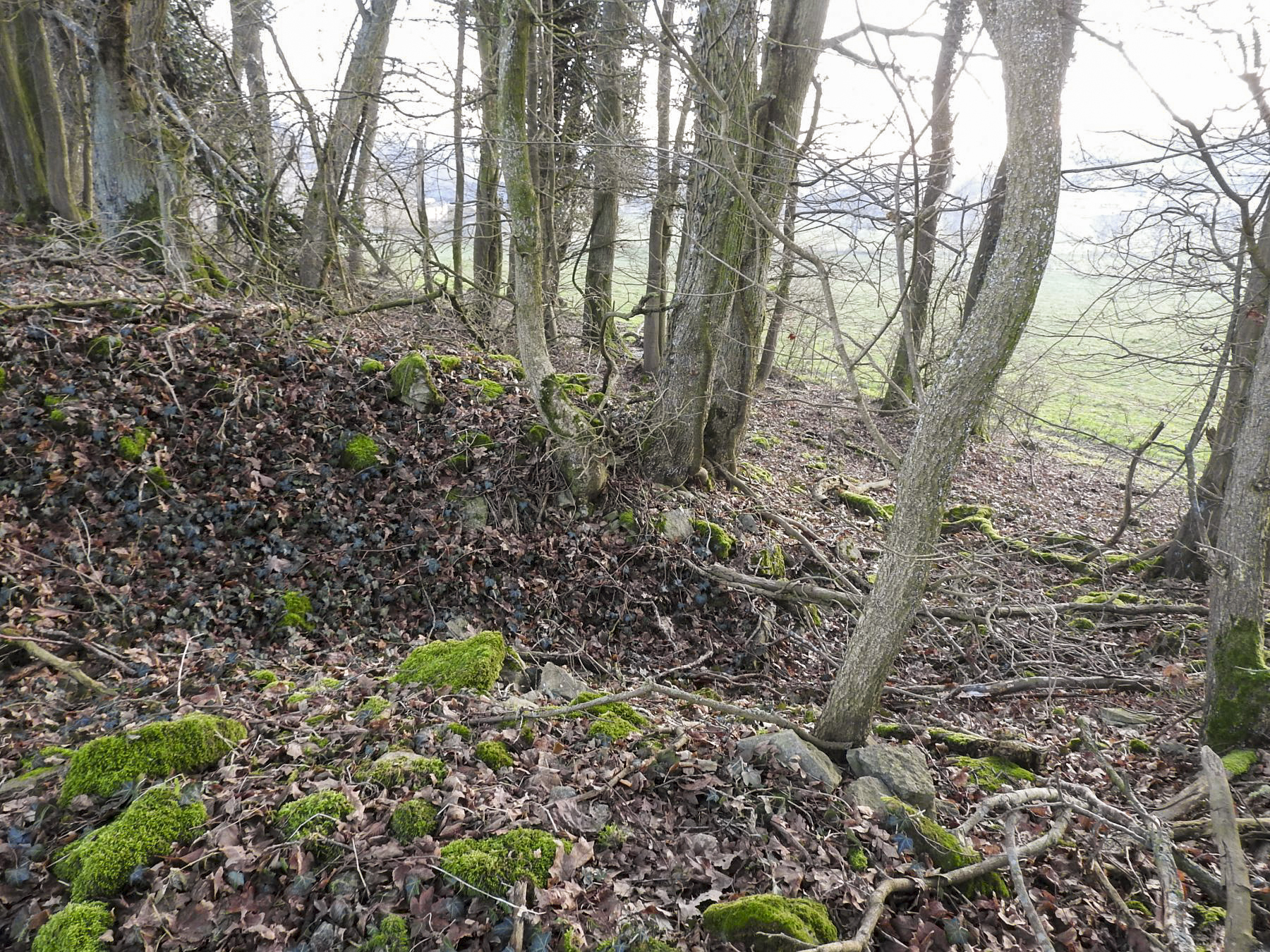 Ligne Maginot - BOIS DU CASTEL 2 - (Cuve pour arme d'infanterie) - Une tranchée d'accès à l'arrière. - STENGER Mathieu