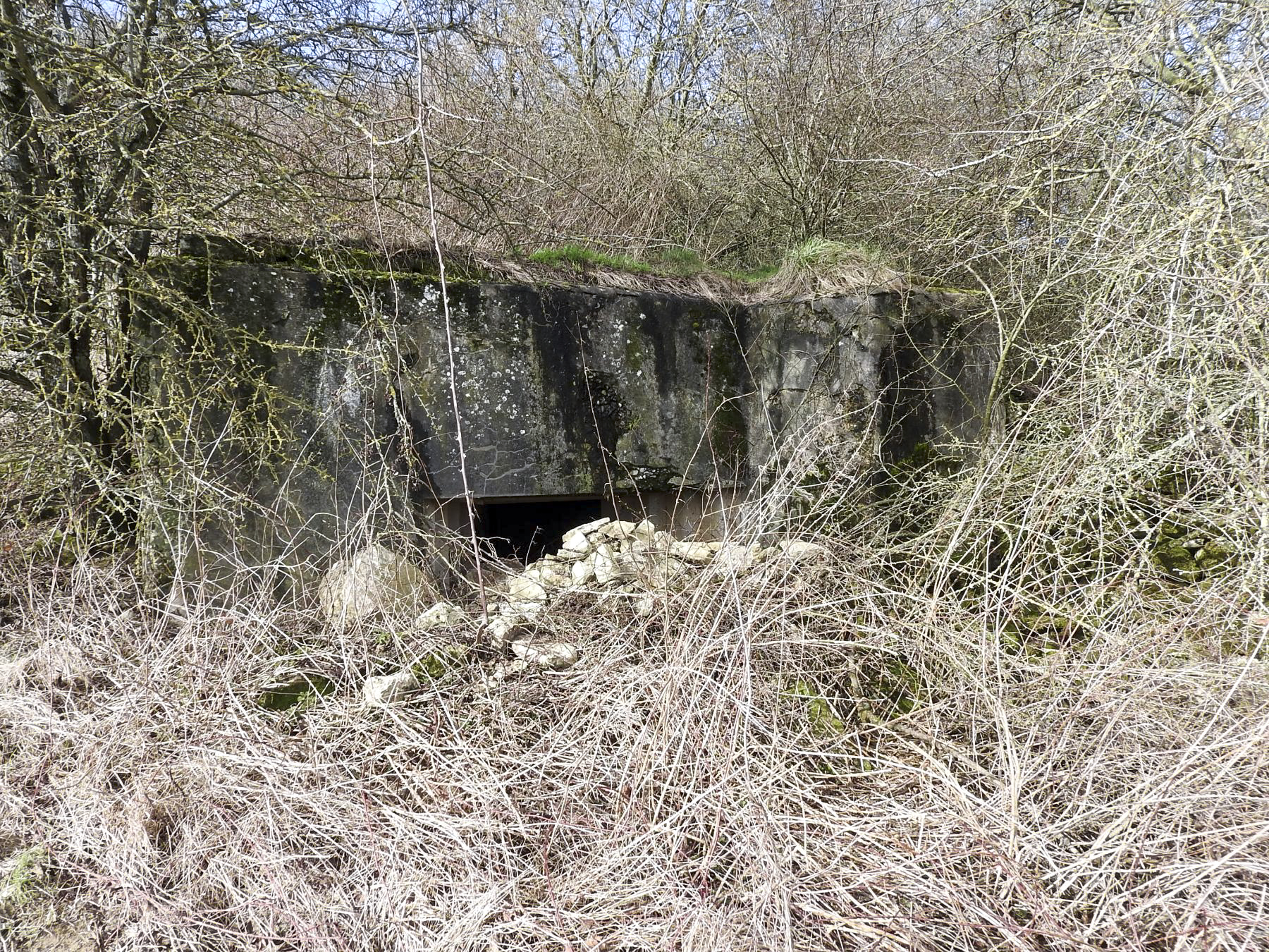 Ligne Maginot - BOLCHERBERG SUD - (Blockhaus pour canon) - La façade de tir.