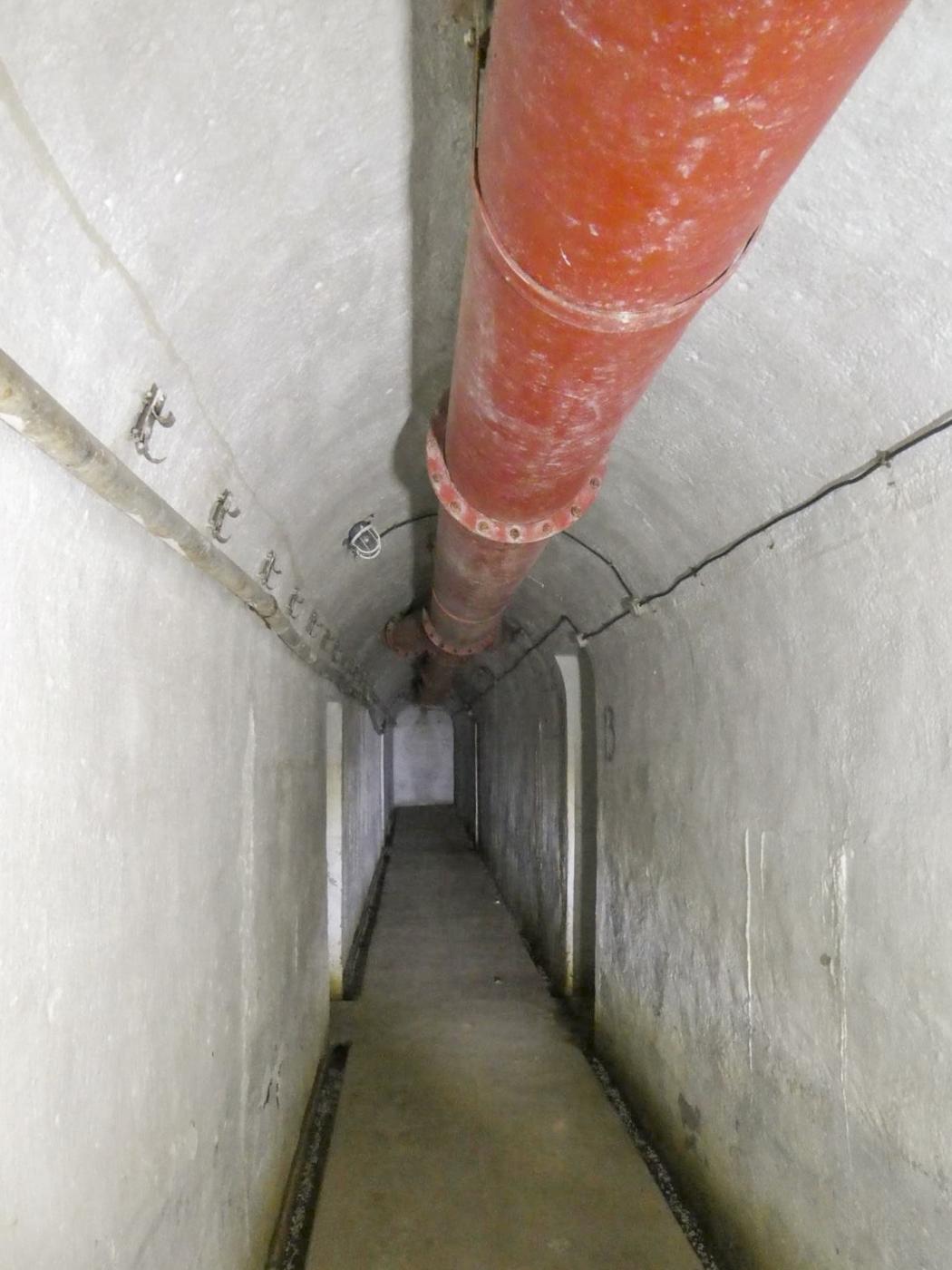 Ligne Maginot - RIMPLAS (RS) - (Ouvrage d'artillerie) -  - ELLENA Daniel - CUNY Philippe