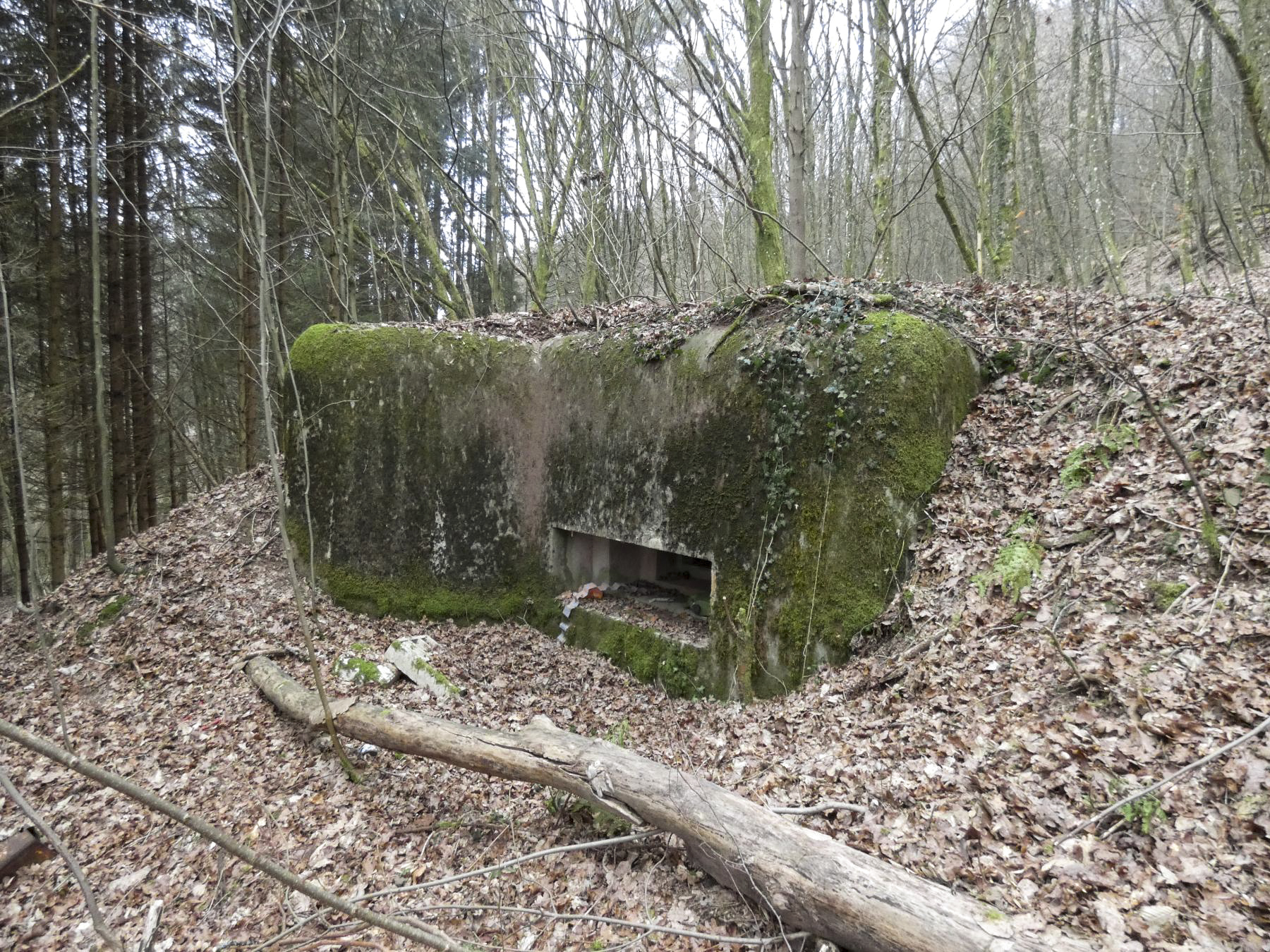 Ligne Maginot - KLAM 6 - (Blockhaus pour arme infanterie) - La façade de tir du blockhaus. - STENGER Mathieu