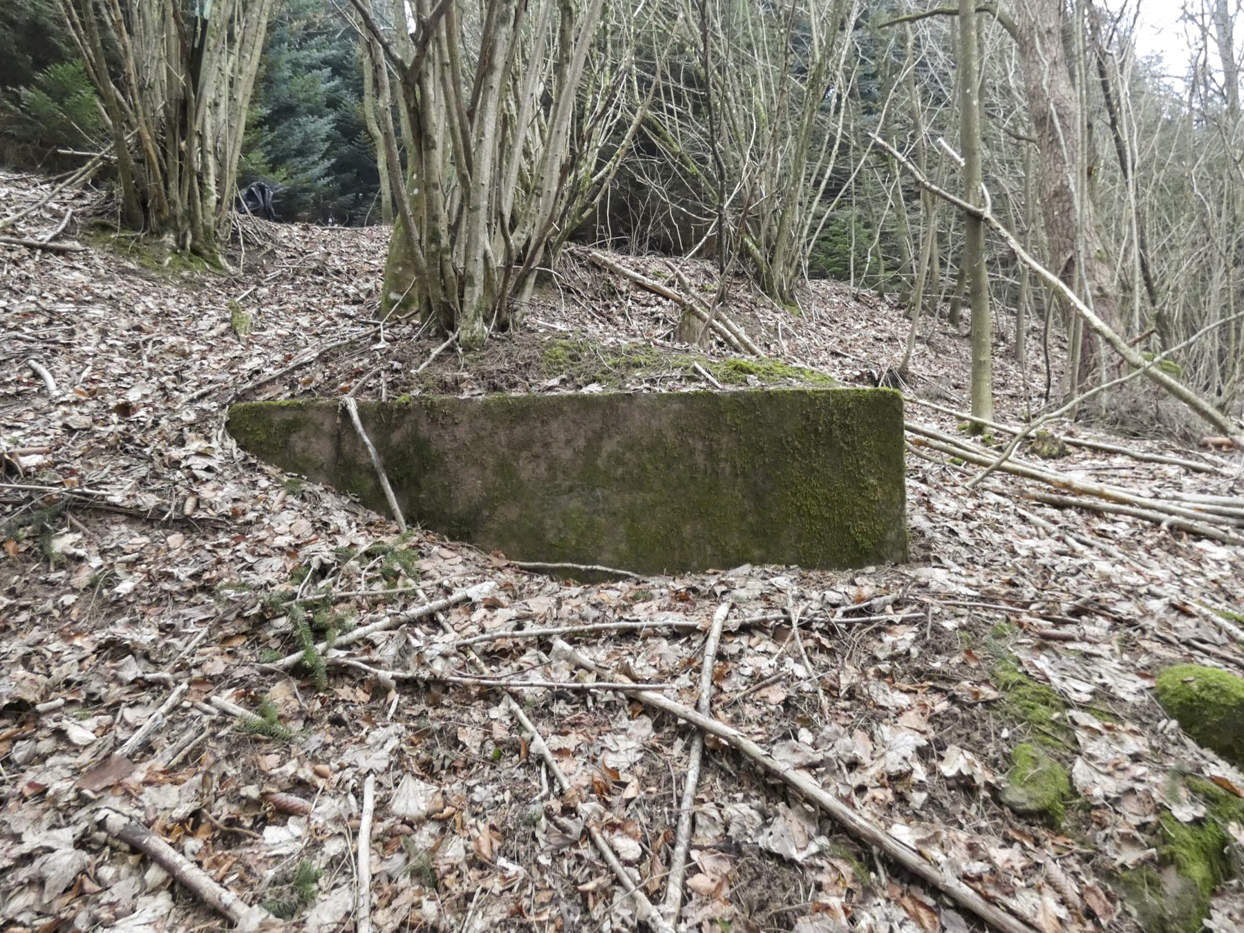 Ligne Maginot - KLAM 7 - (Blockhaus pour arme infanterie) - La façade de tir est remblayée. - STENGER Mathieu