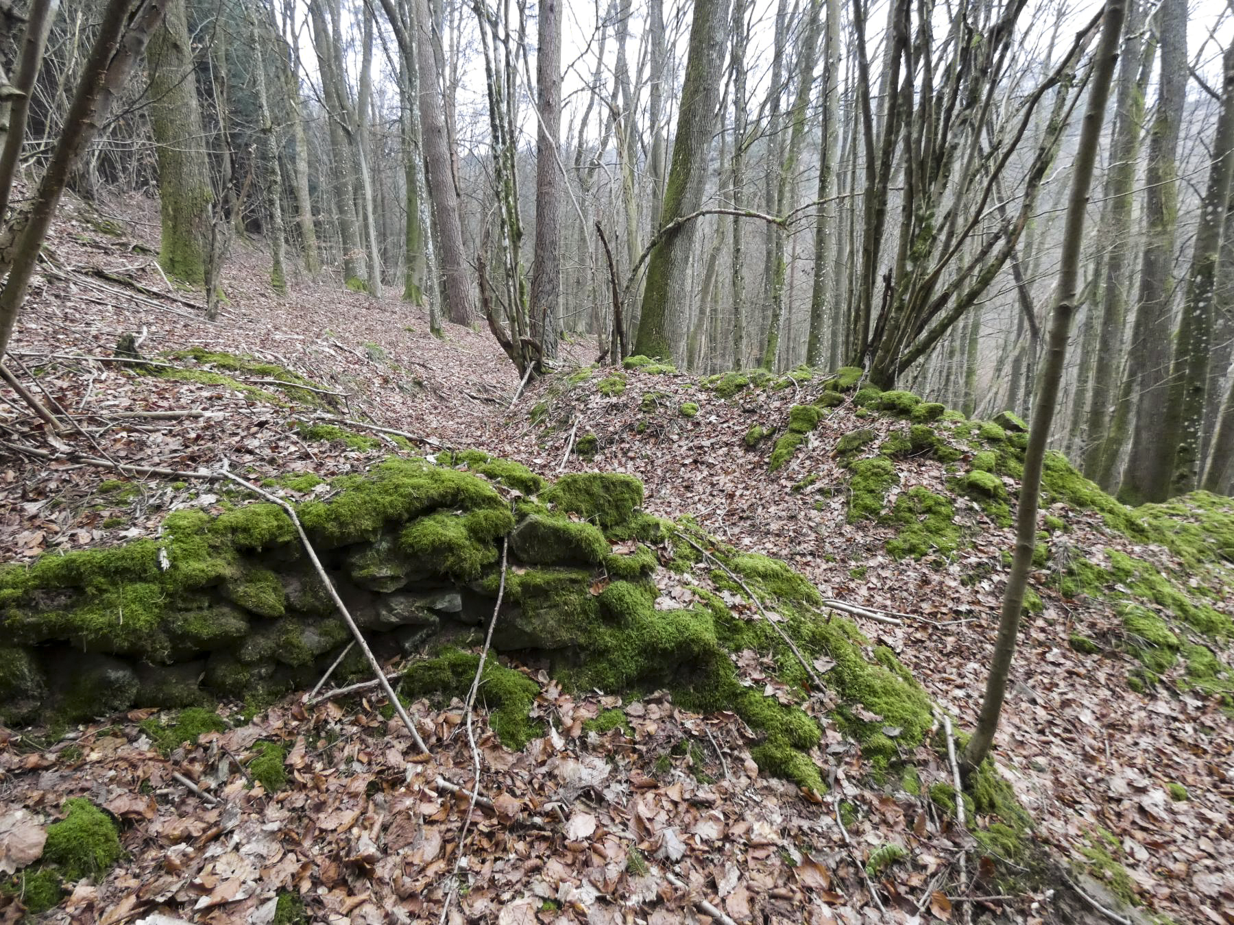 Ligne Maginot - KLAM 7 - (Blockhaus pour arme infanterie) - Juste en contre-bas du blockhaus un reste de muret en pierres sèches. Position de tir ou emplacement d'un abri léger ? - STENGER Mathieu