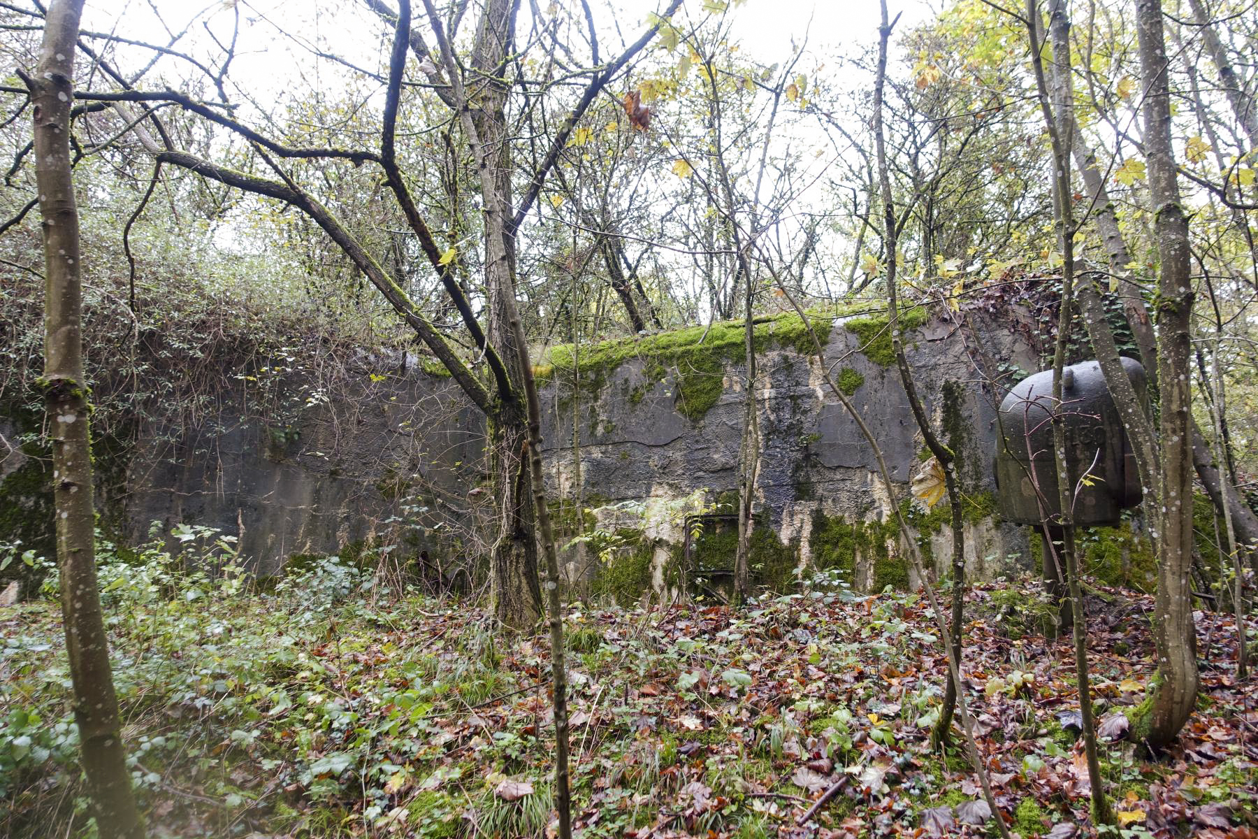 Ligne Maginot - COUME - A 31 - (Ouvrage d'infanterie) - Bloc 2
Après le merlonnage - David Palmer