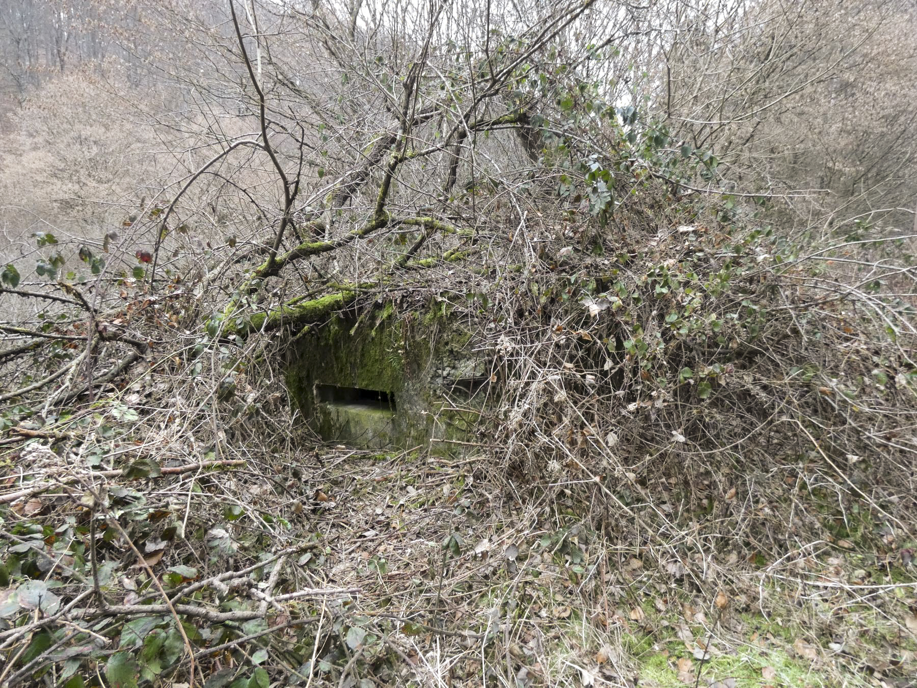 Ligne Maginot - RUISSEAU DU GROSSTHAL 4 - (Blockhaus pour arme infanterie) - La façade de tir. - STENGER Mathieu