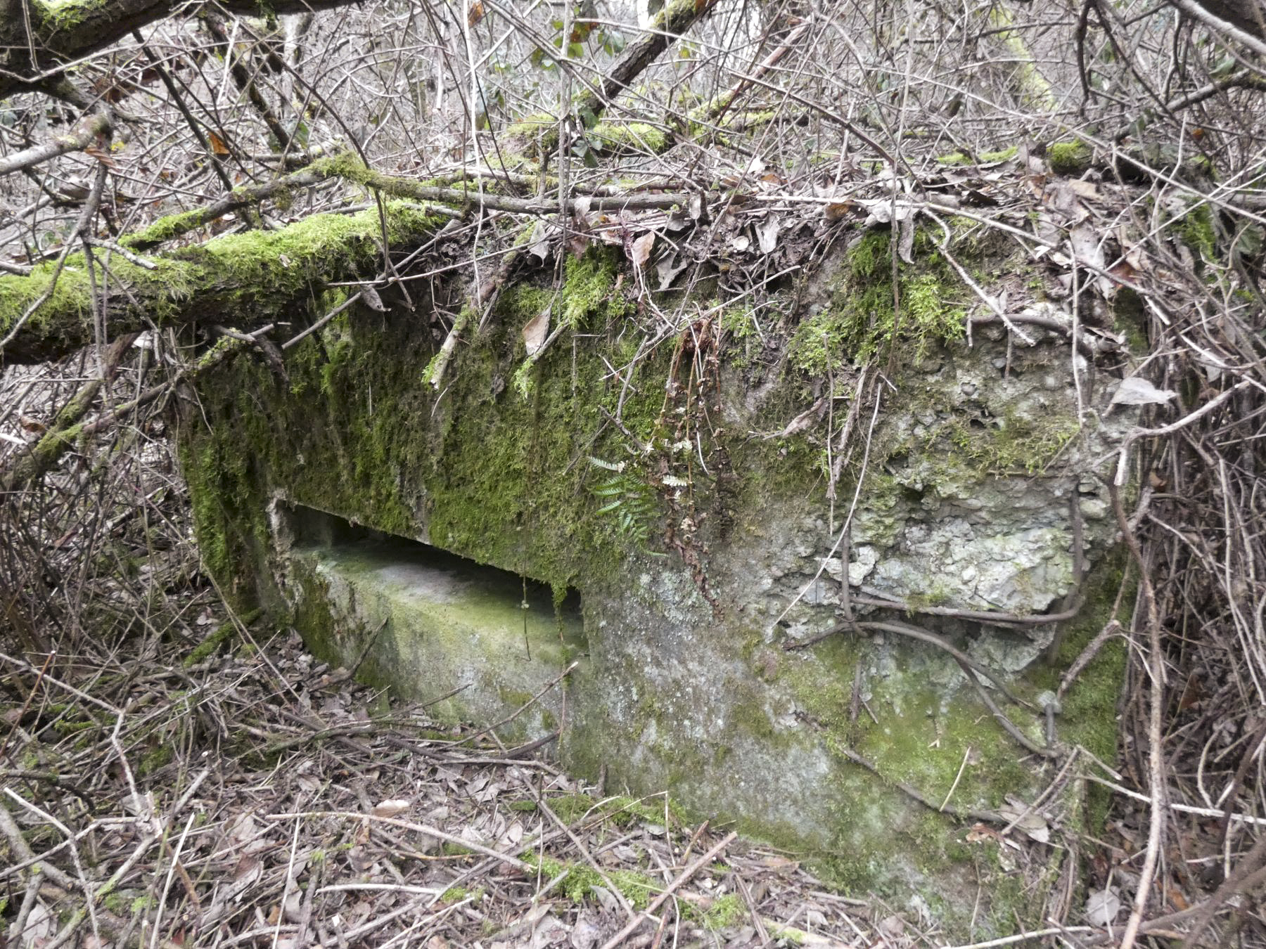 Ligne Maginot - RUISSEAU DU GROSSTHAL 4 - (Blockhaus pour arme infanterie) - L'embrasure pour mitrailleuse. - STENGER Mathieu