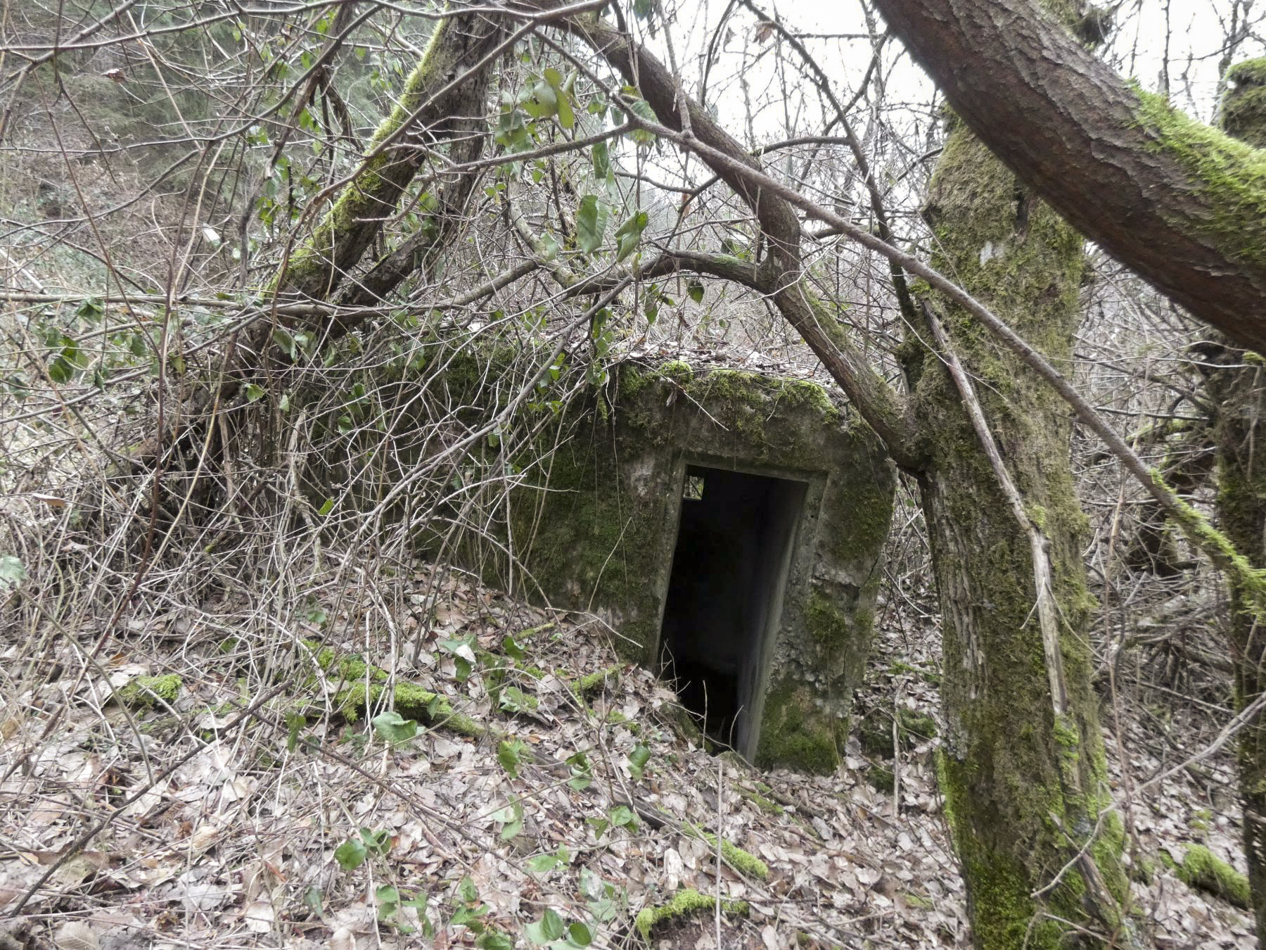 Ligne Maginot - RUISSEAU DU GROSSTHAL 4 - (Blockhaus pour arme infanterie) - L'entrée du blockhaus. Remarquez sa position légèrement basculé vers le ruisseau du Grossthal. - STENGER Mathieu
