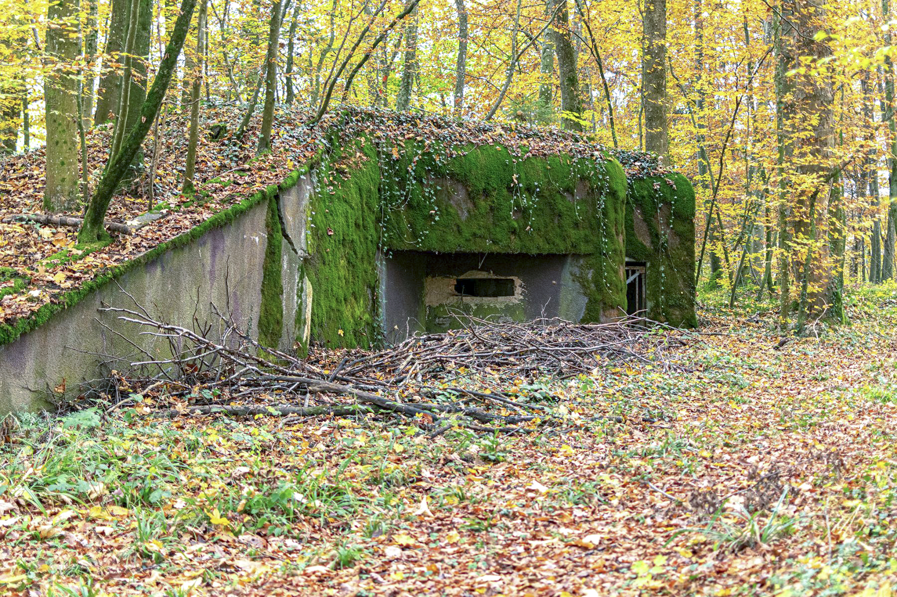 Ligne Maginot - 108 - STRENGWALD NORD - (Casemate d'infanterie - Double) -  - David Palmer