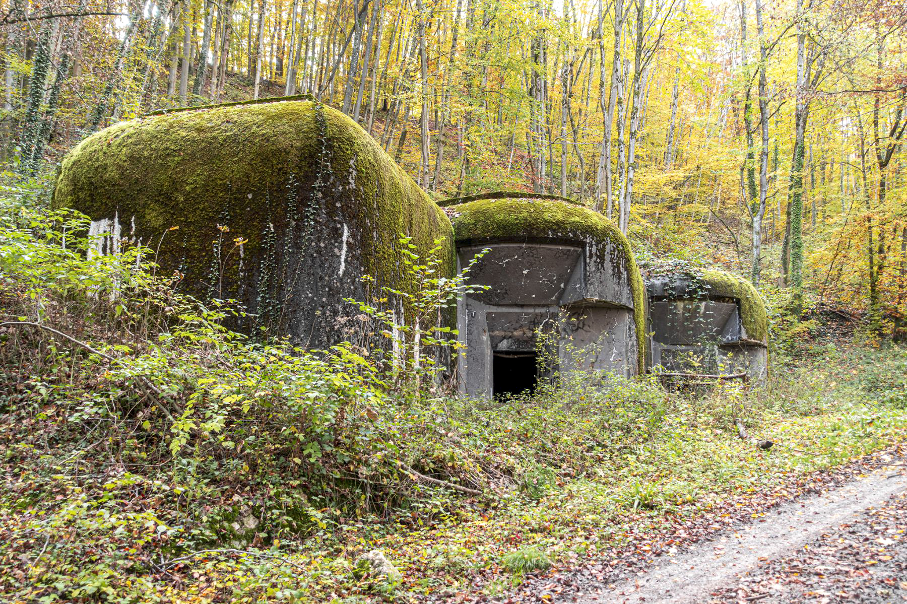 113 - OLTINGUE - (Casemate d'artillerie)