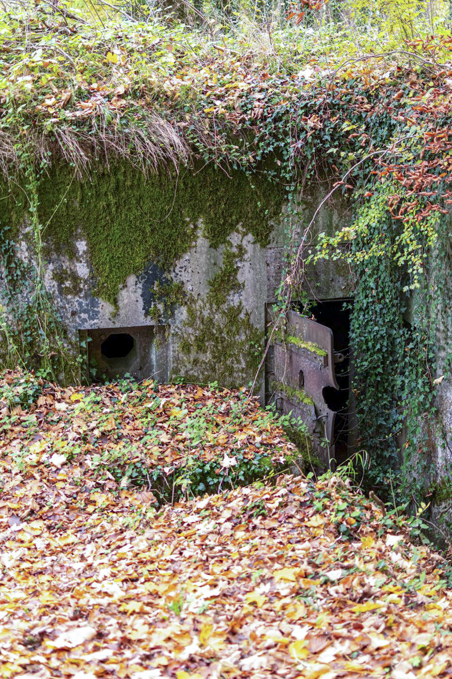 Ligne Maginot - OLTINGUE NORD 1 - (Blockhaus pour arme infanterie) -  - David Palmer