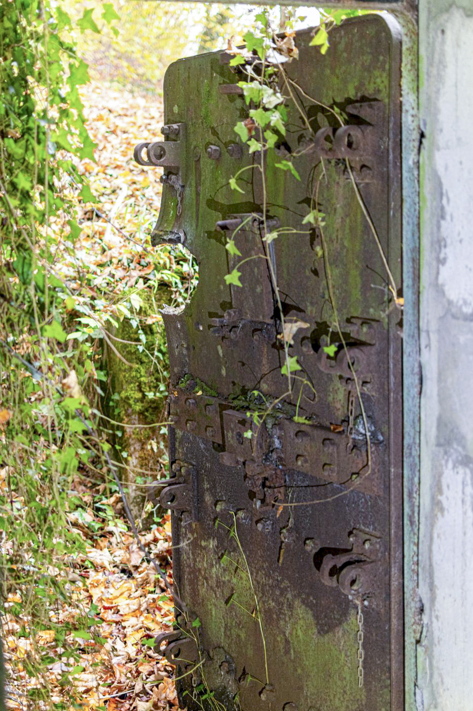 Ligne Maginot - OLTINGUE NORD 1 - (Blockhaus pour arme infanterie) -  - David Palmer
