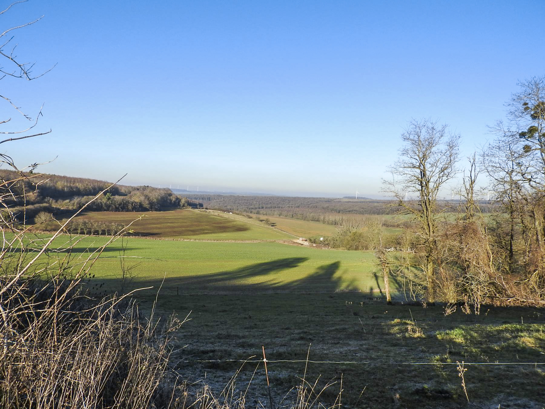 Ligne Maginot - KLEIBORN SUD - (Blockhaus pour arme infanterie) - L'axe de tir du blockhaus. - STENGER Mathieu