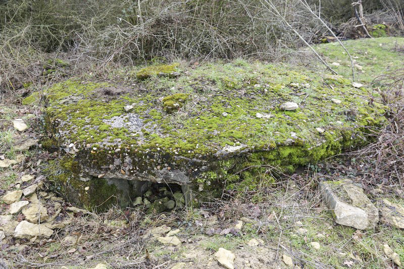 Ligne Maginot - MORTENKRUPP  - (Blockhaus pour arme infanterie) -       - Alain Perouffe