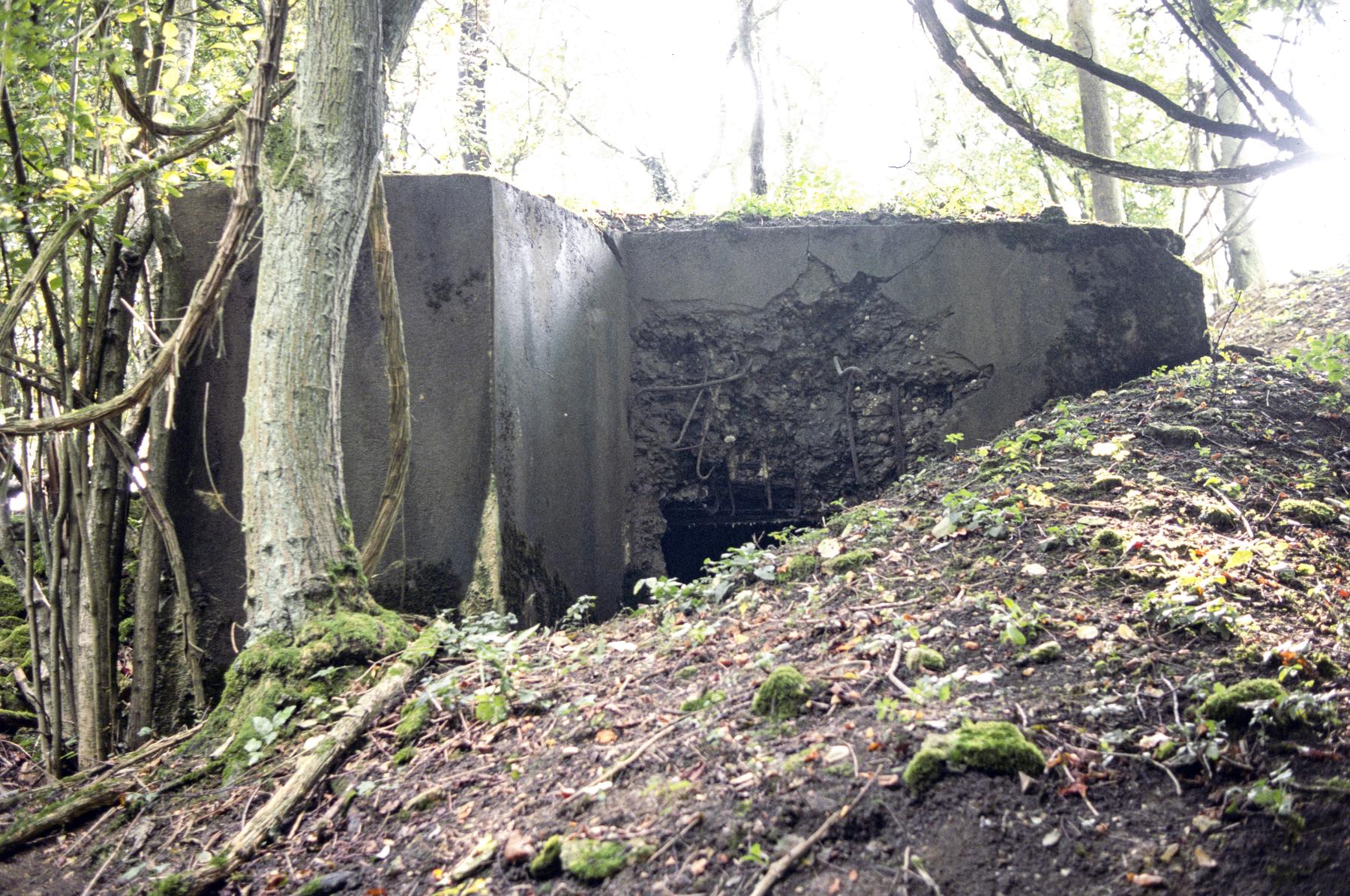 Ligne Maginot - PETERSHECKE 3 - (Blockhaus pour arme infanterie) -  - MANSUY Michel
