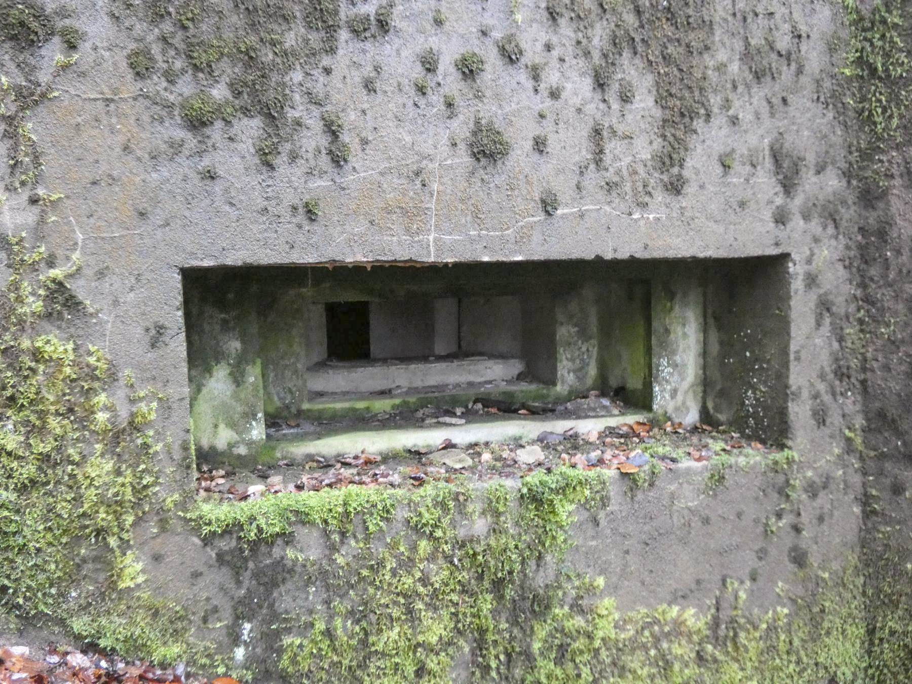 Ligne Maginot - RUISSEAU DU GROSSTHAL 2 - (Blockhaus pour arme infanterie) - L'embrasure pour mitrailleuse. - STENGER Mathieu