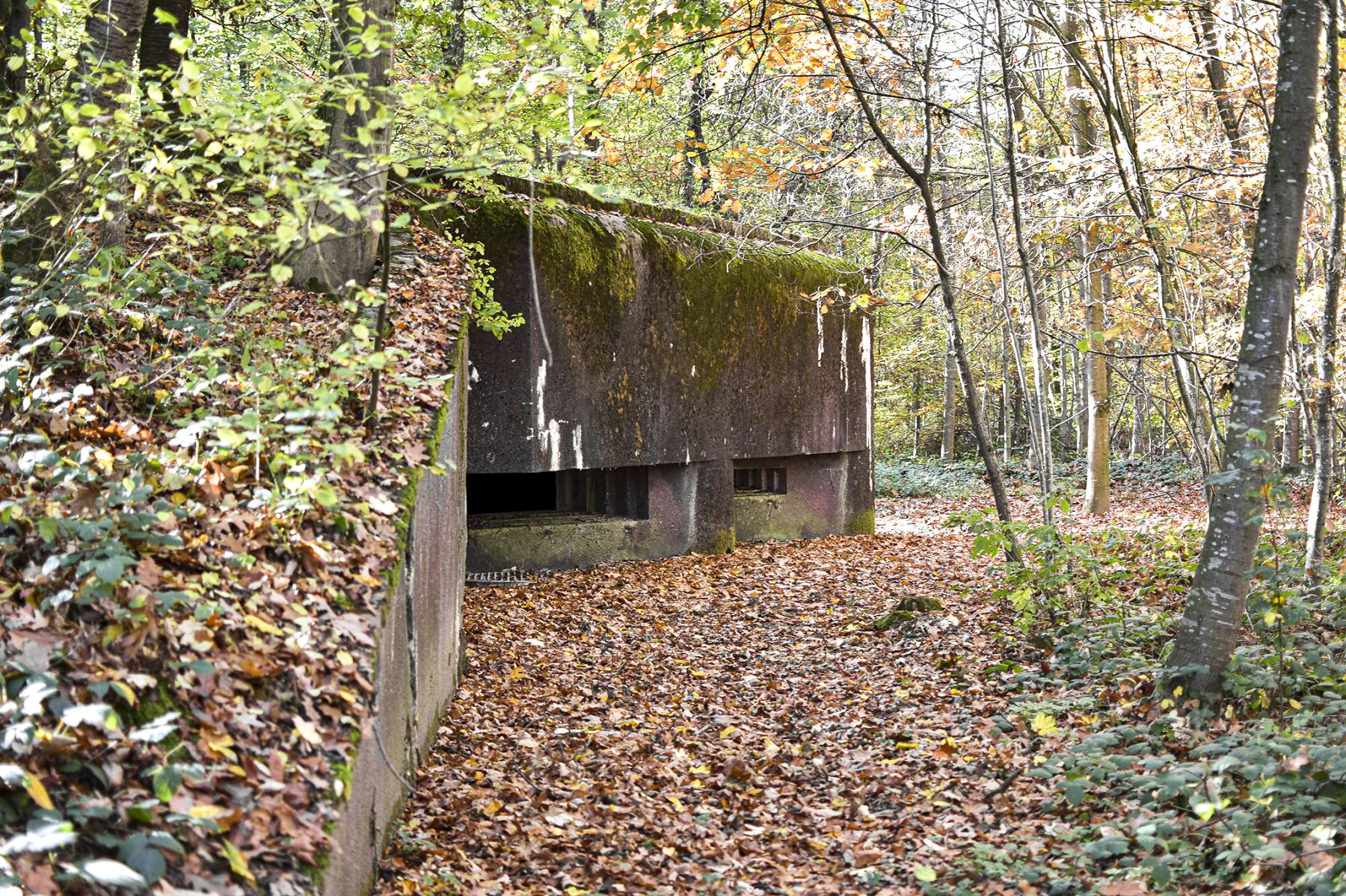 Ligne Maginot - 111 - BETTLACH NORD - (Casemate d'infanterie - Double) - Façade nord - David Palmer