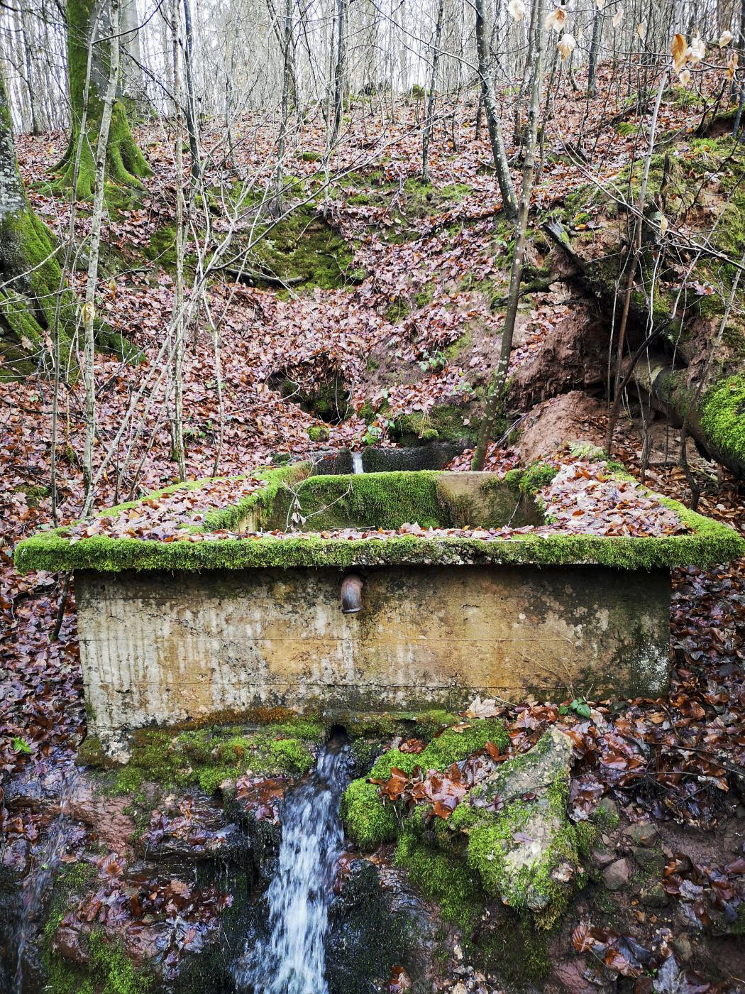 Ligne Maginot - FREUDENBERG (QUARTIER SCHIESSECK - I/37° RIF) - (Abri) - Réservoir d'eau bétonné en contrebas de l'abri (utilisation lors de la construction ?) - DK_Antoine4