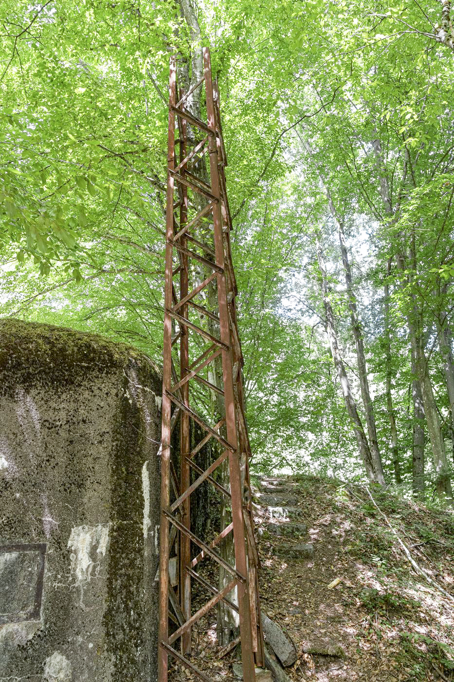 Ligne Maginot - GRUNENTHAL - C59 - (Casemate d'infanterie - Double) -  - David Palmer
