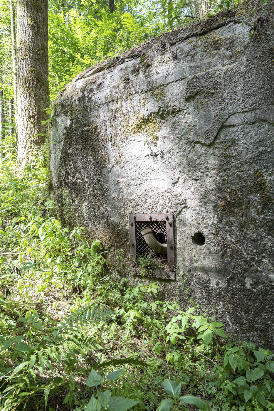 Ligne Maginot - WINECKERTHAL EST - (Casemate d'infanterie - Simple) -  - David Palmer