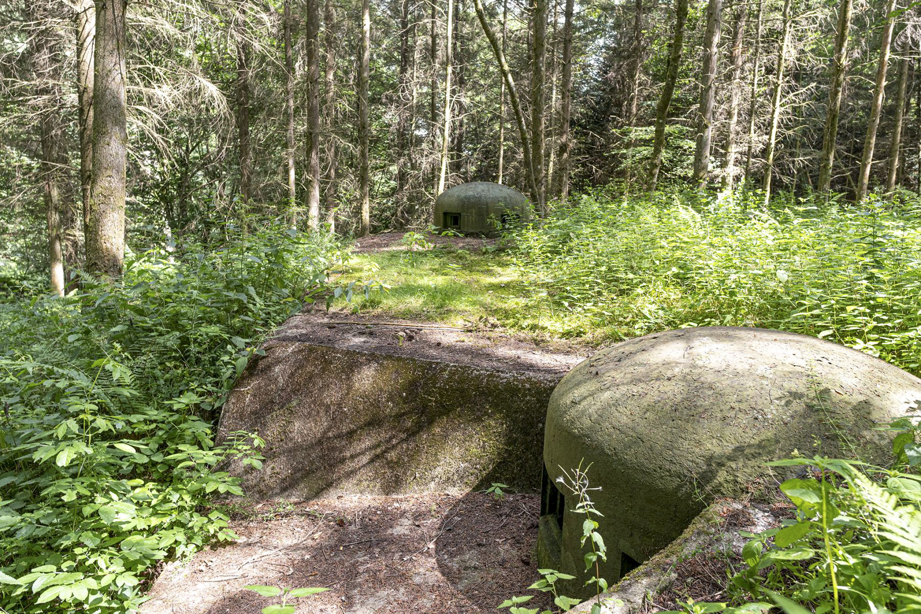 Ligne Maginot - WINECKERTHAL EST - (Casemate d'infanterie - Simple) -  - David Palmer