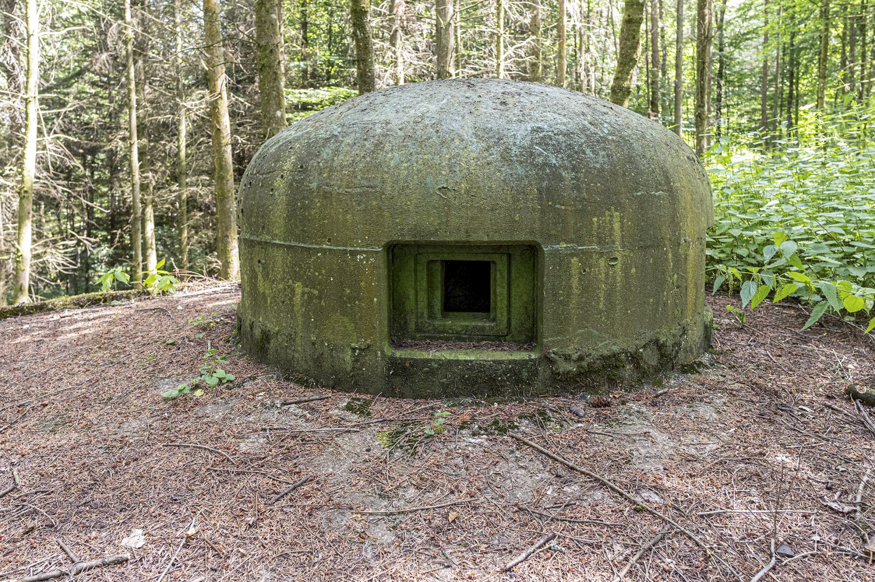 Ligne Maginot - WINECKERTHAL EST - (Casemate d'infanterie - Simple) -  - David Palmer