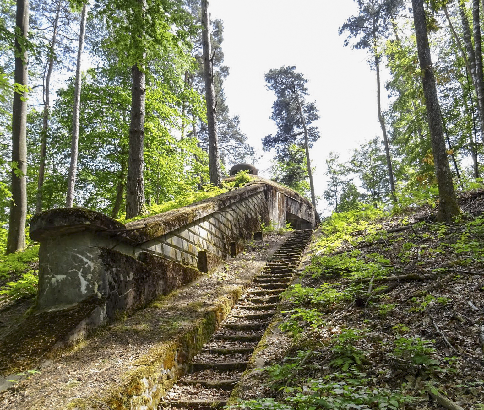 Ligne Maginot - BIESENBERG 6 - (Blockhaus pour arme infanterie) -  - Léo Zahn