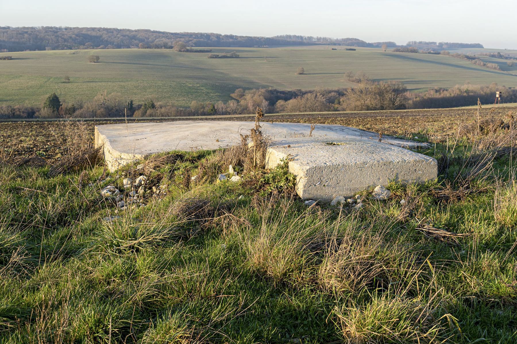 Ligne Maginot - SCHITTEFELD 6 - (Blockhaus pour arme infanterie) - Vue générale - David Palmer