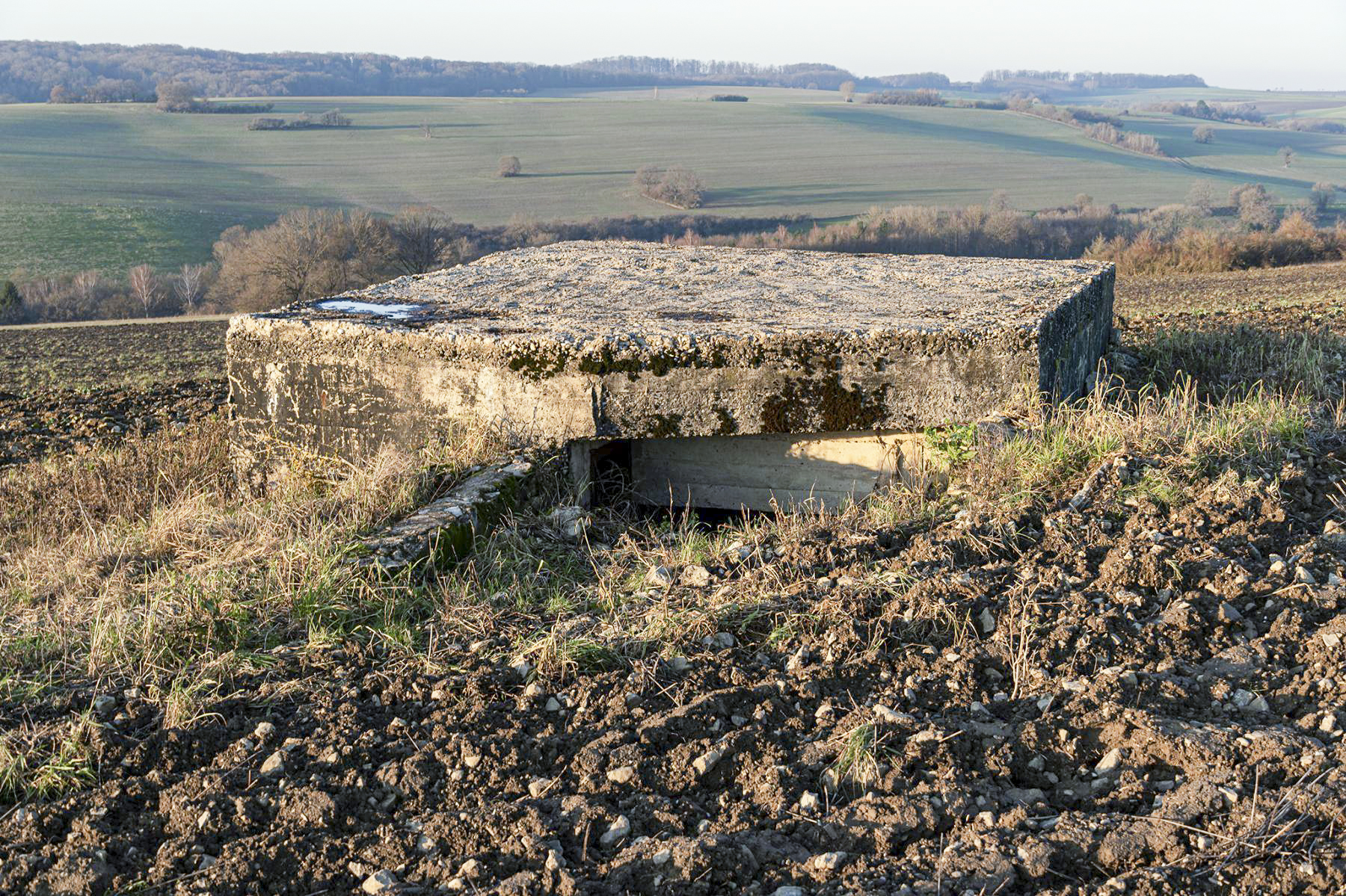 Ligne Maginot - SCHITTEFELD 5 - (Blockhaus pour canon) - Façade arrière - David Palmer