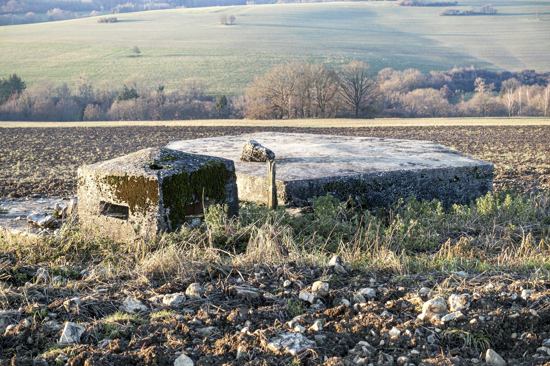 Ligne Maginot - SCHITTEFELD 4 - (Blockhaus pour arme infanterie) - Vue générale - David Palmer