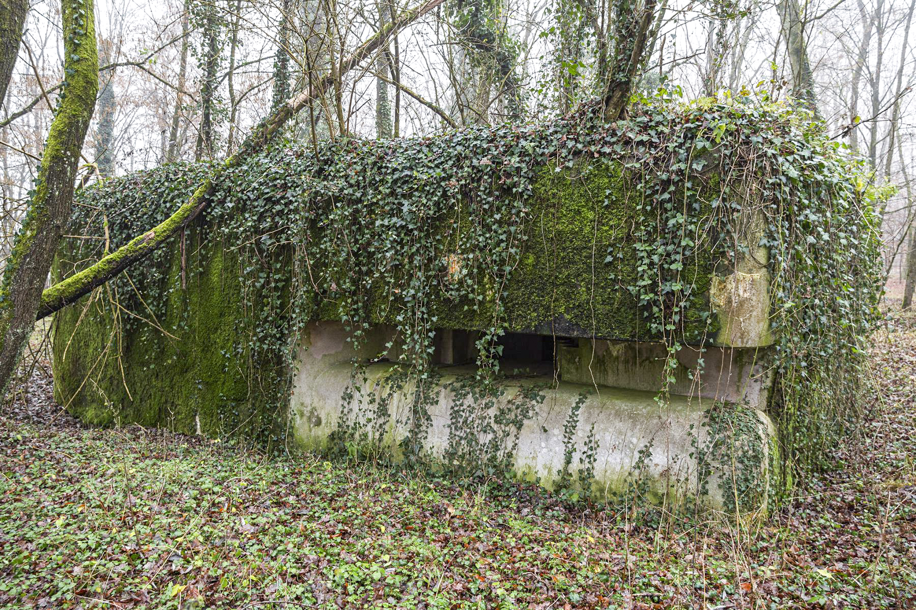Ligne Maginot - SELTZBACH 2 - (Blockhaus pour canon) - La façade avant - David Palmer