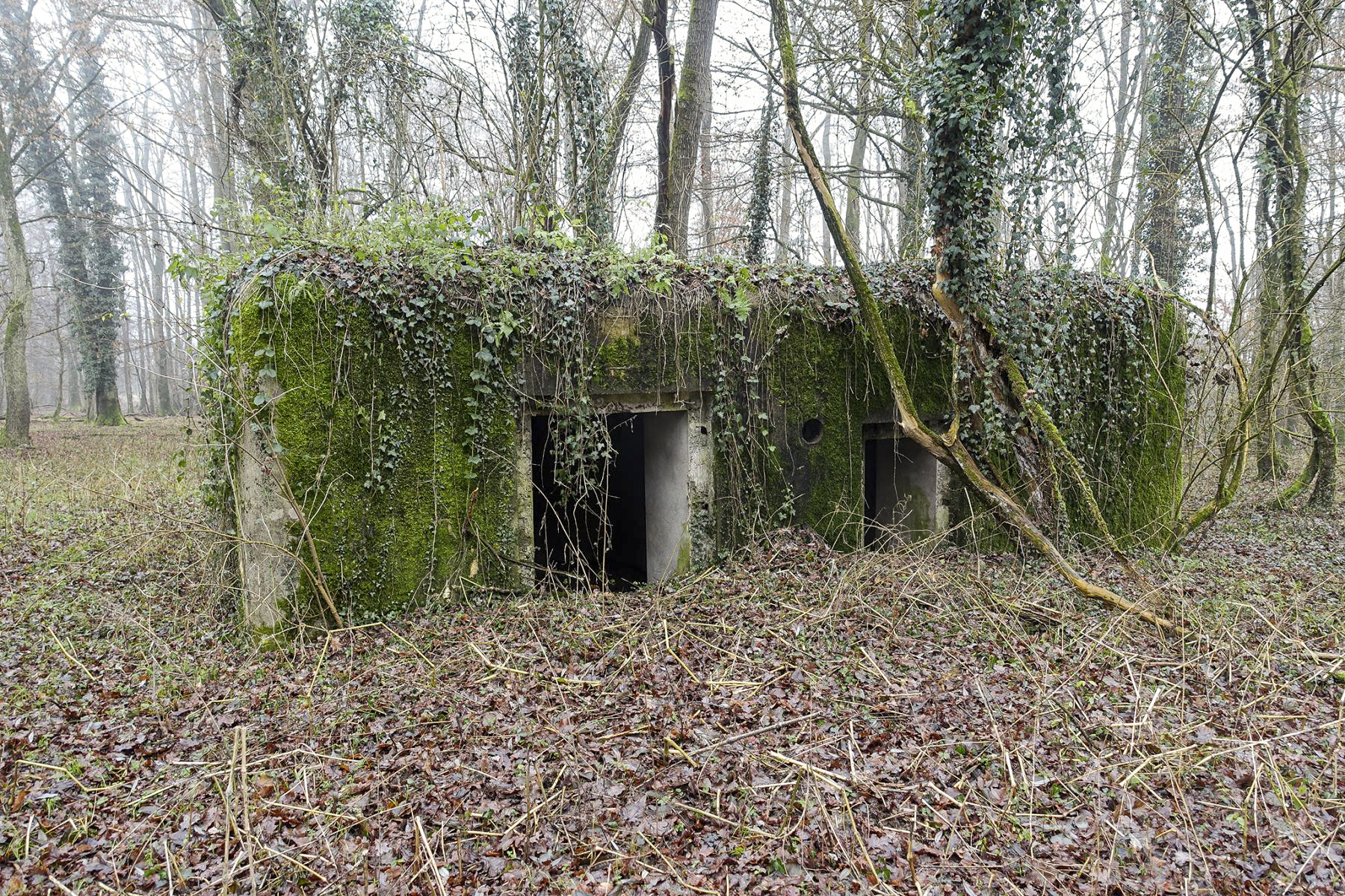 Ligne Maginot - SELTZBACH 2 - (Blockhaus pour canon) - Le blockhaus vu coté entrées
Le cartouche a disparu - David Palmer