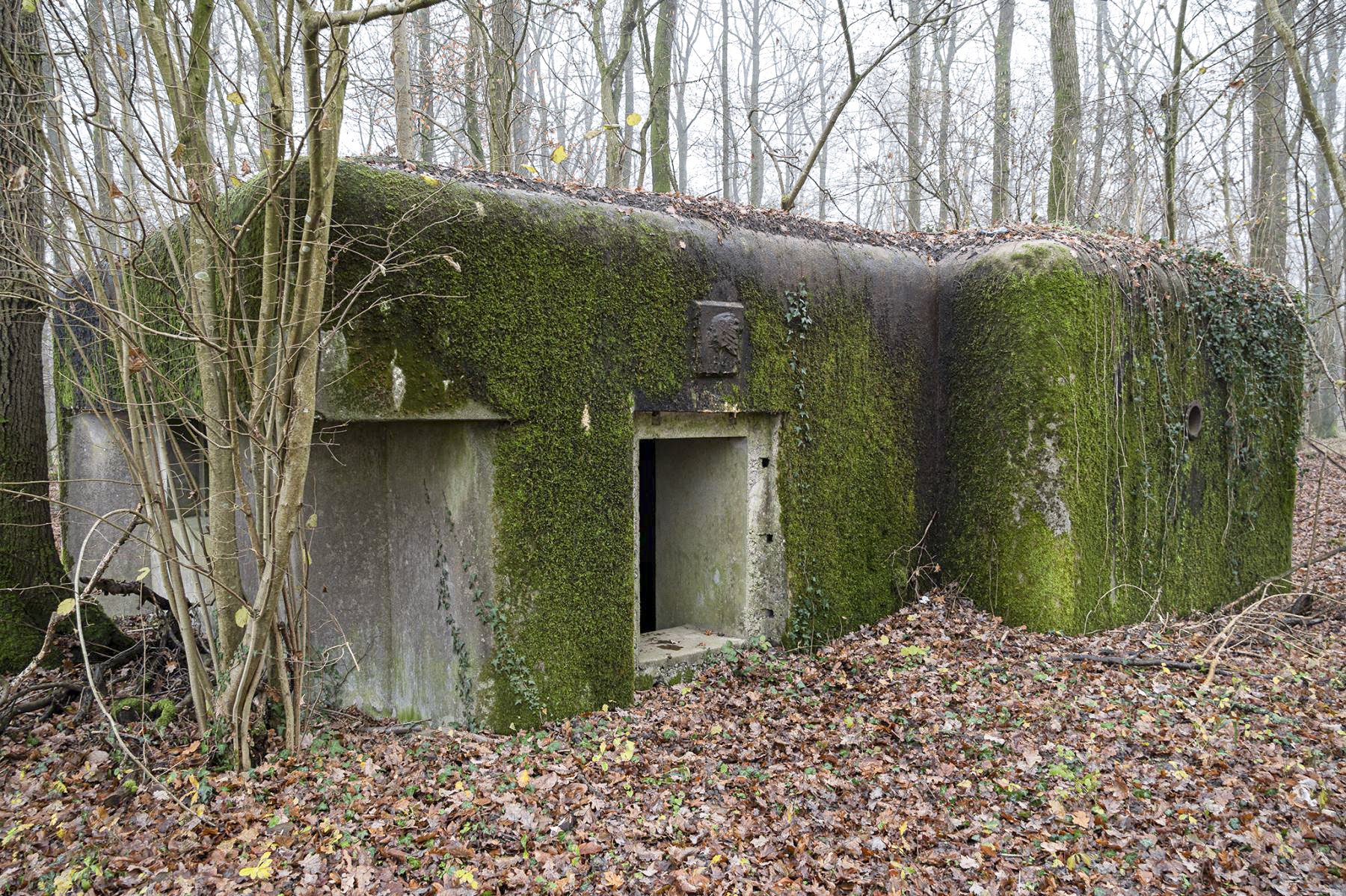 Ligne Maginot - SELTZBACH 1 - (Blockhaus pour arme infanterie) - L'entrée du blockhaus - David Palmer